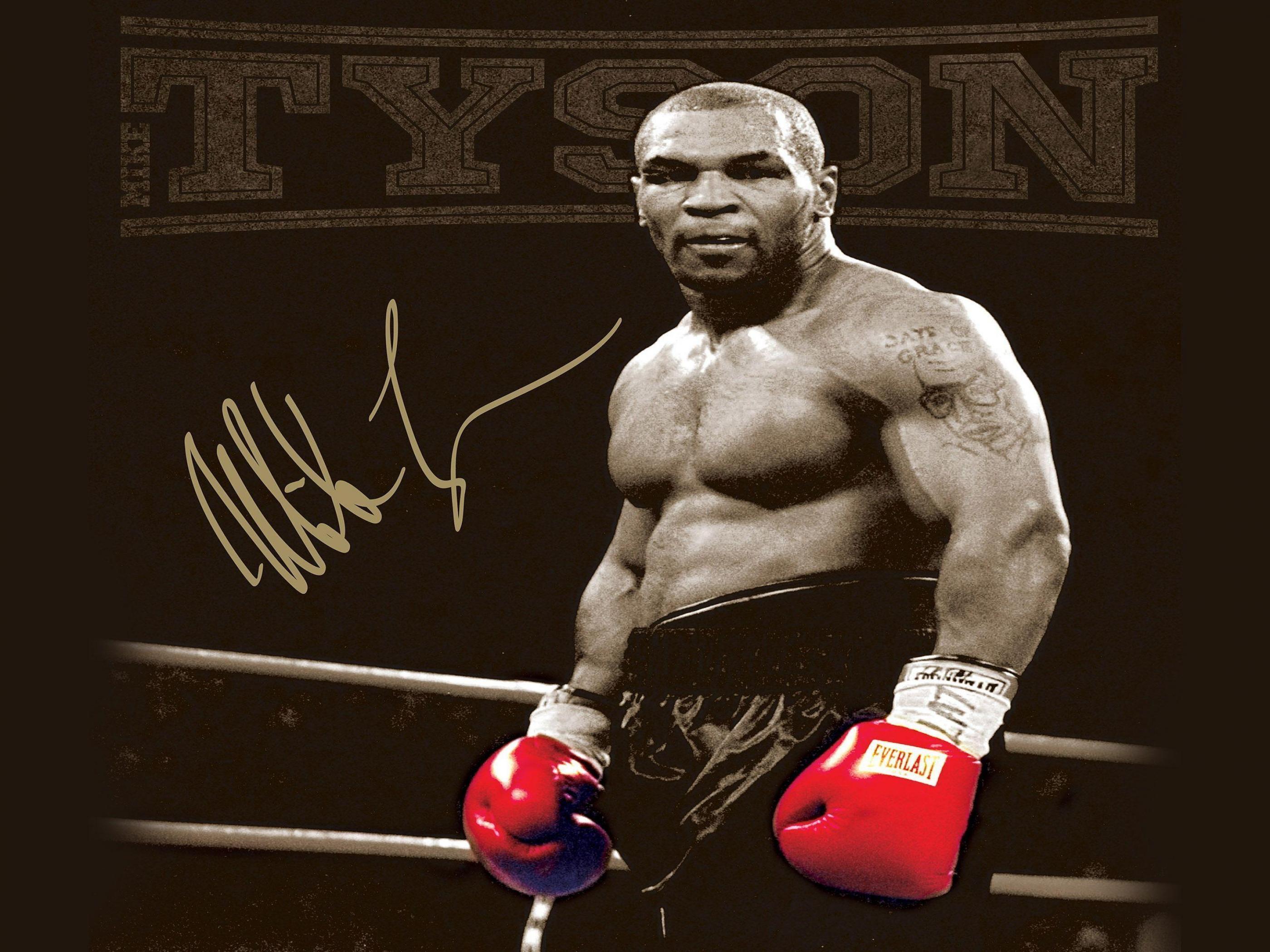 Mike Tyson Knockout Wallpaper