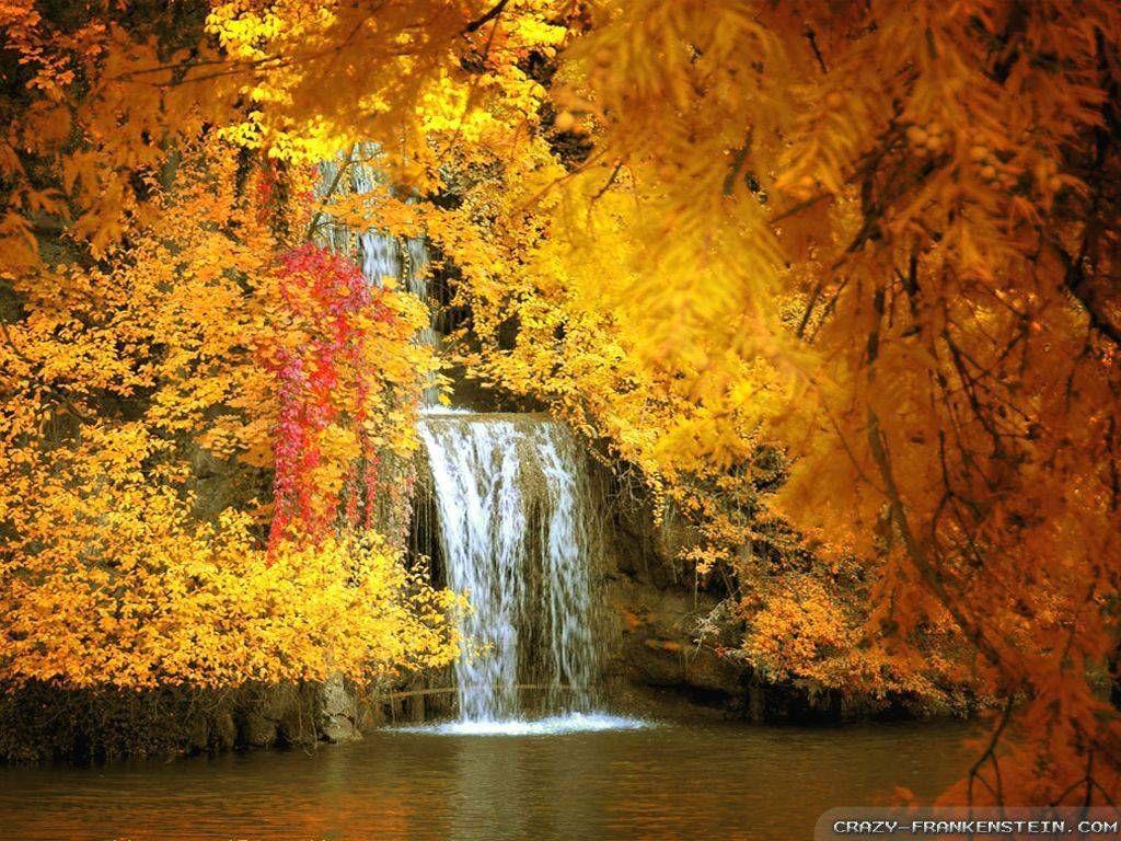 Amazing Fall Wallpapers - Top Free Amazing Fall Backgrounds -  WallpaperAccess