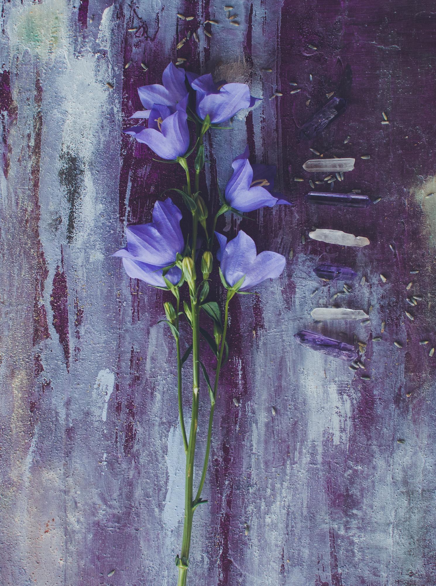 1490x2000 Purple Phone Wallpaper Group , Download for free