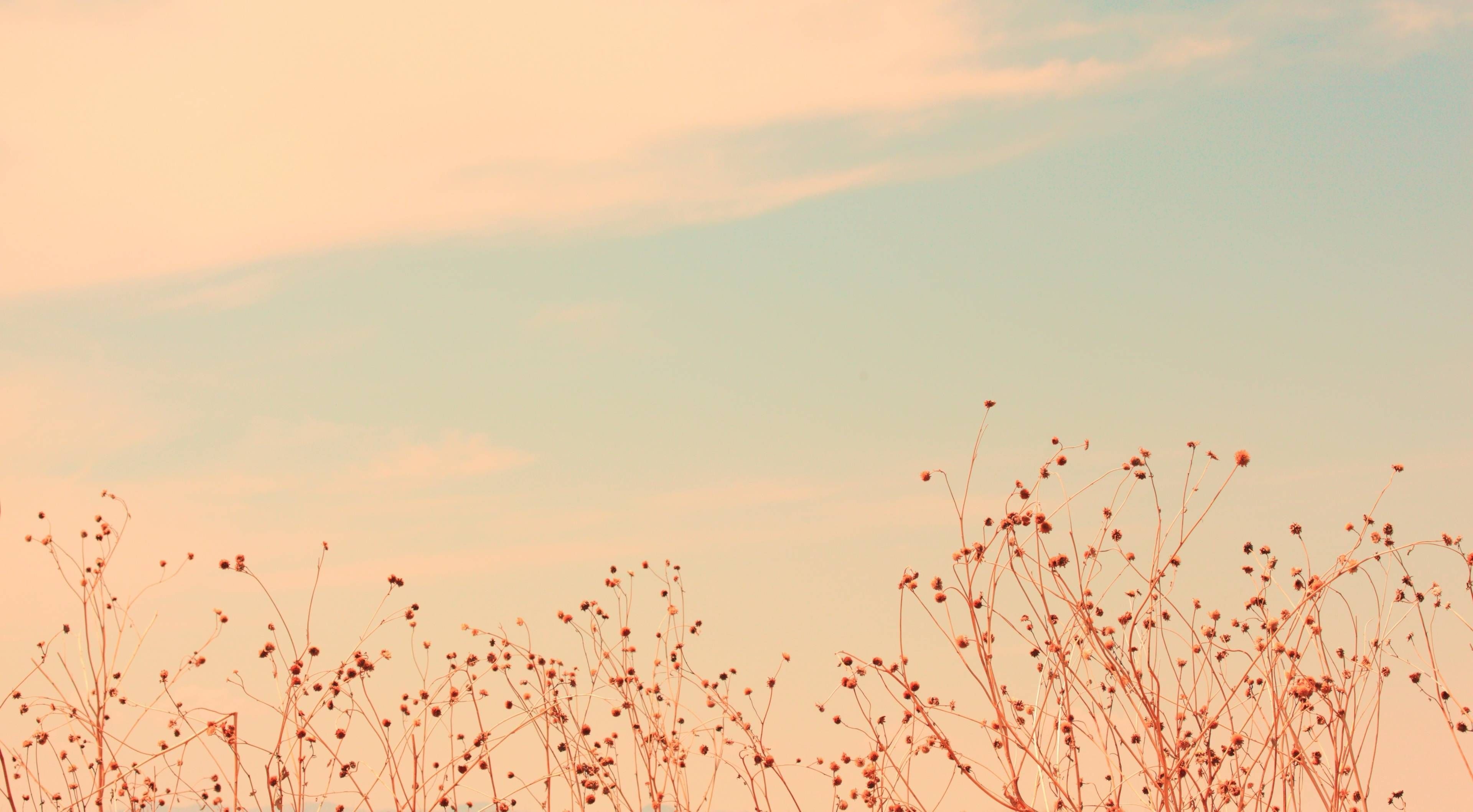 3840x2118 Aesthetic desktop wallpaper, Laptop