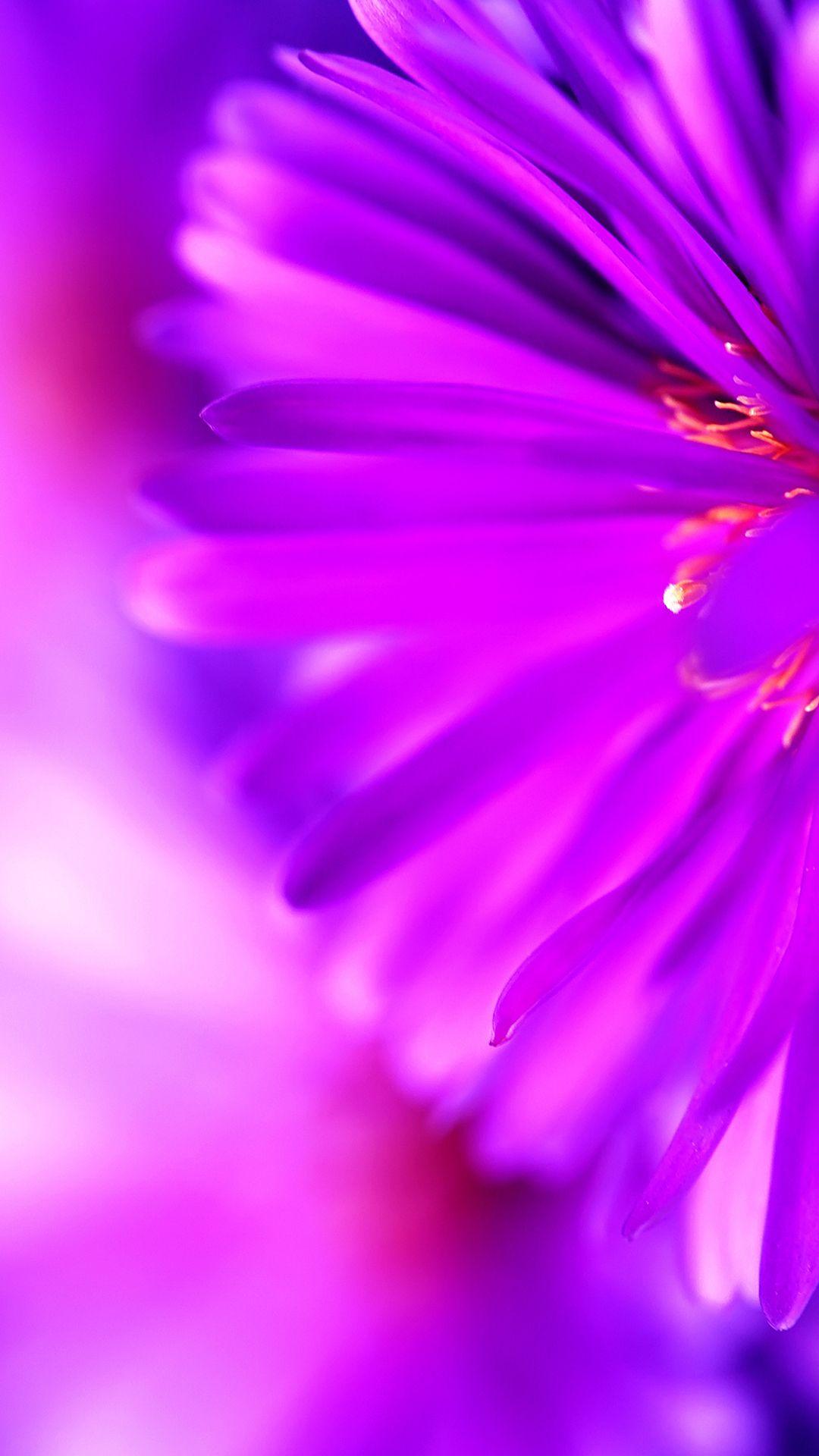 1080x1920 Free HD Shaded Purple Phone Wallpaper.4733