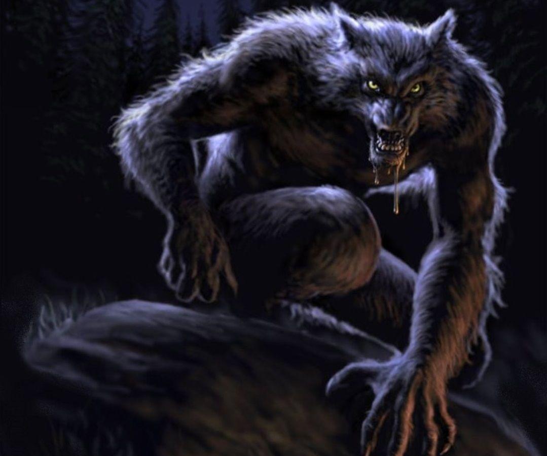 Werewolf Live Wallpaper FreeAmazoncoukAppstore for Android