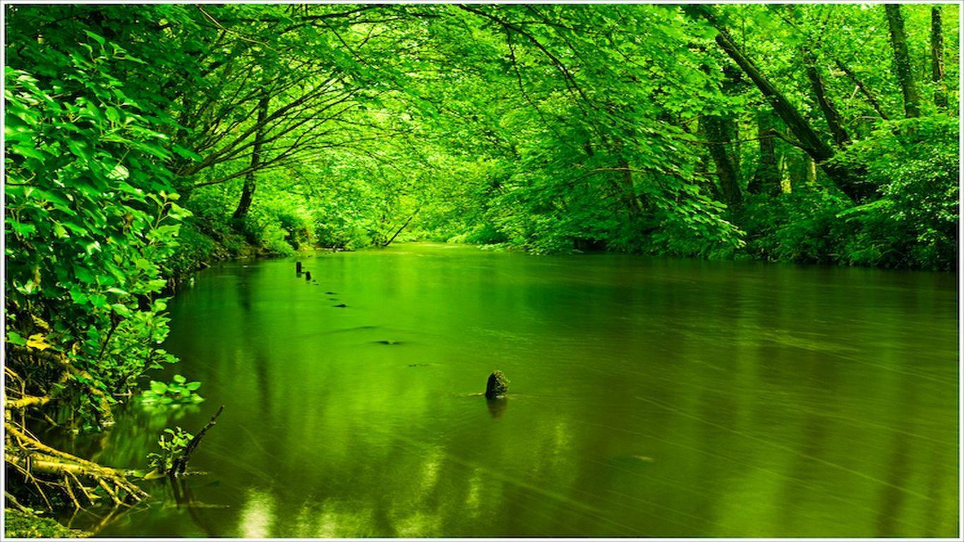 Green Nature Wallpapers - Top Free Green Nature Backgrounds