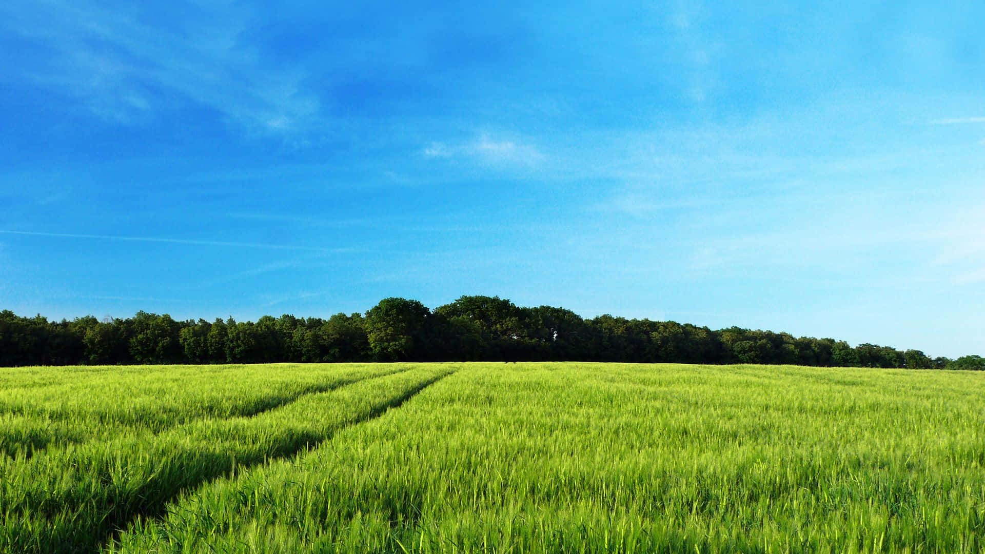 1920x1080 peaceful Farm