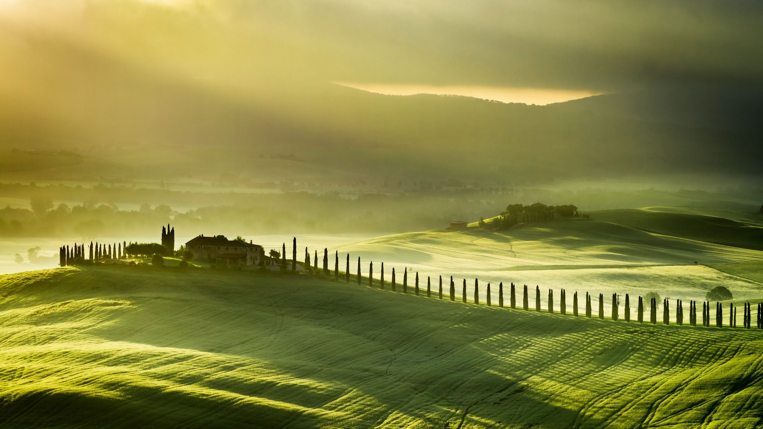 2560x1440 Wallpaper field, landscape, fog, Italy