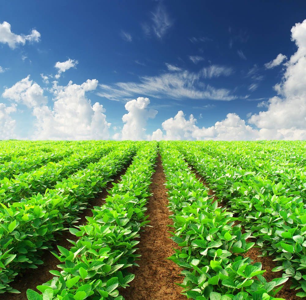 Green Farm Wallpapers - Top Free Green Farm Backgrounds - WallpaperAccess