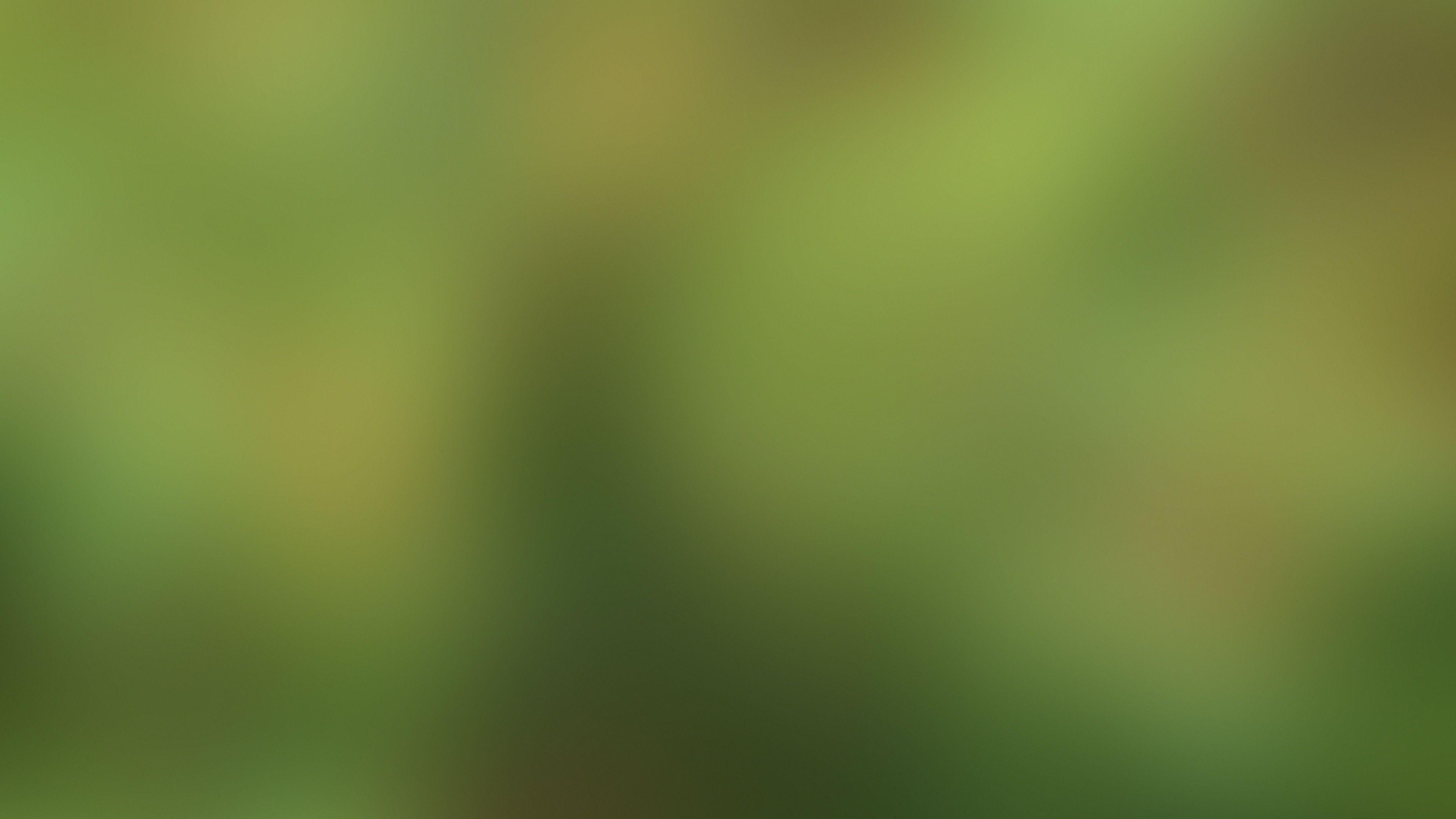 3840x2160 4K Green Blurred Background HD Desktop Wallpaper 40831
