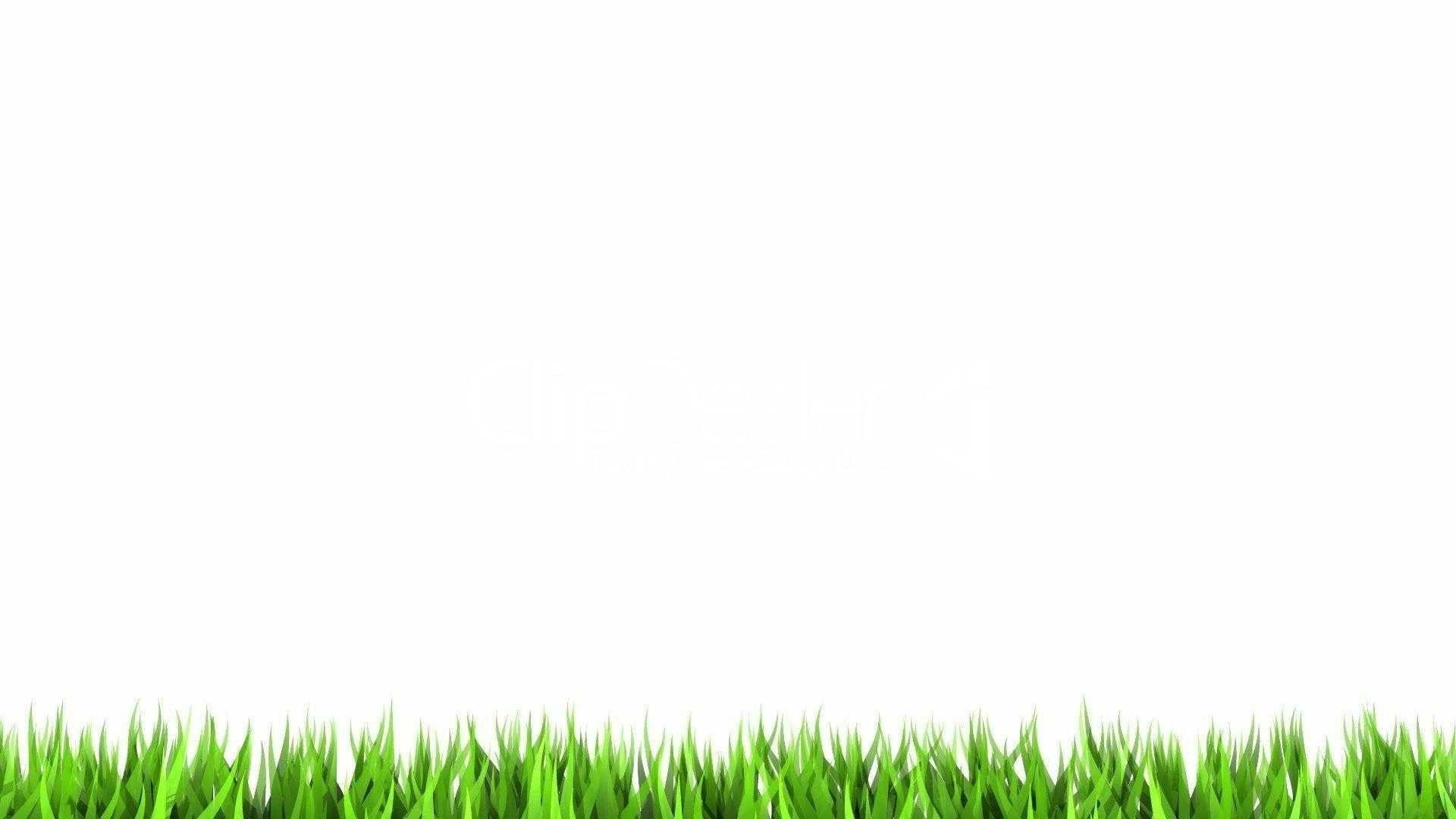 1920x1080 White Background Wallpaper