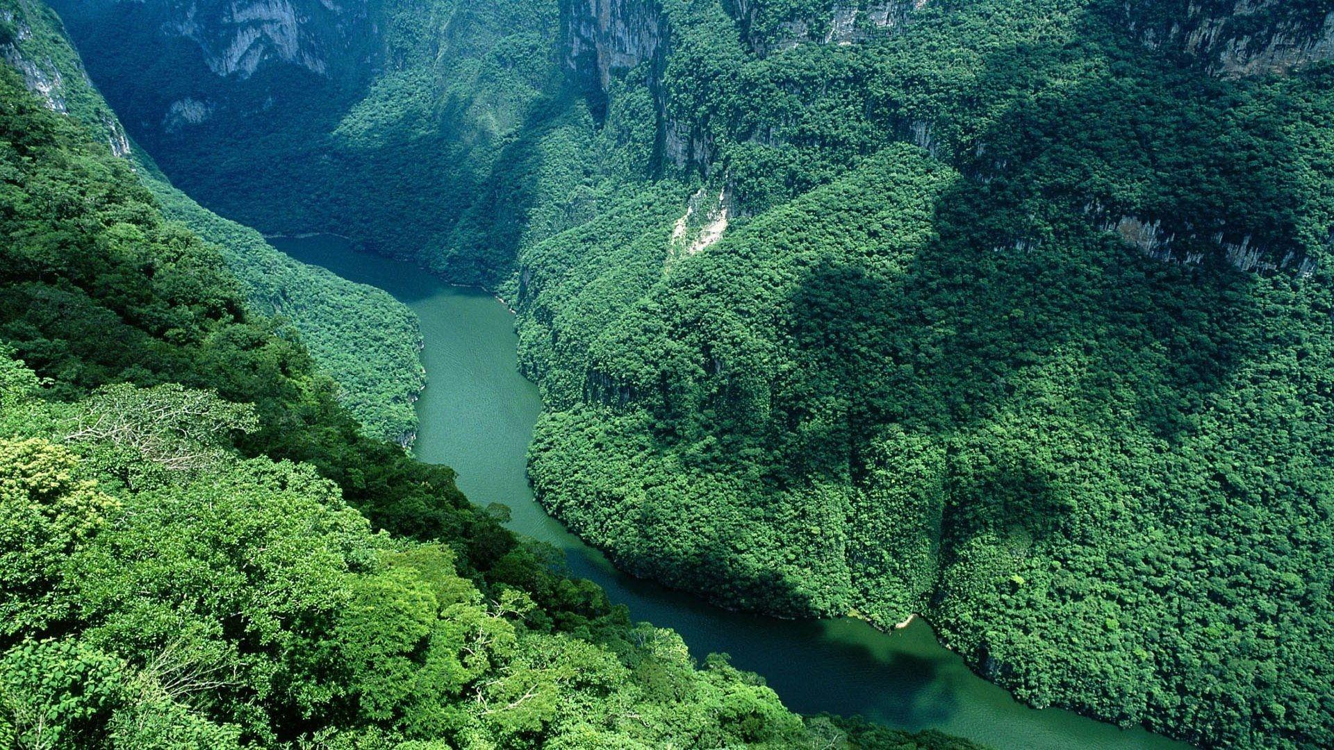 1920x1080 Free Amazon River Wallpaper #XBB6GN8