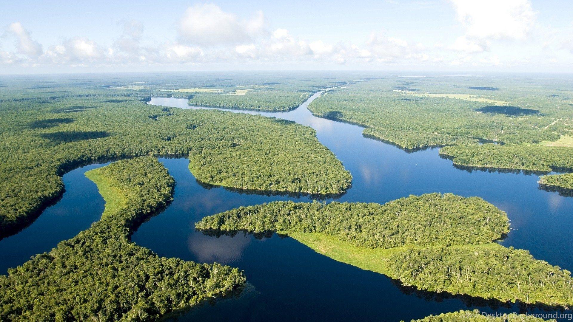 1920x1080 Dense Forests On The Amazon River Wallpaper And Image