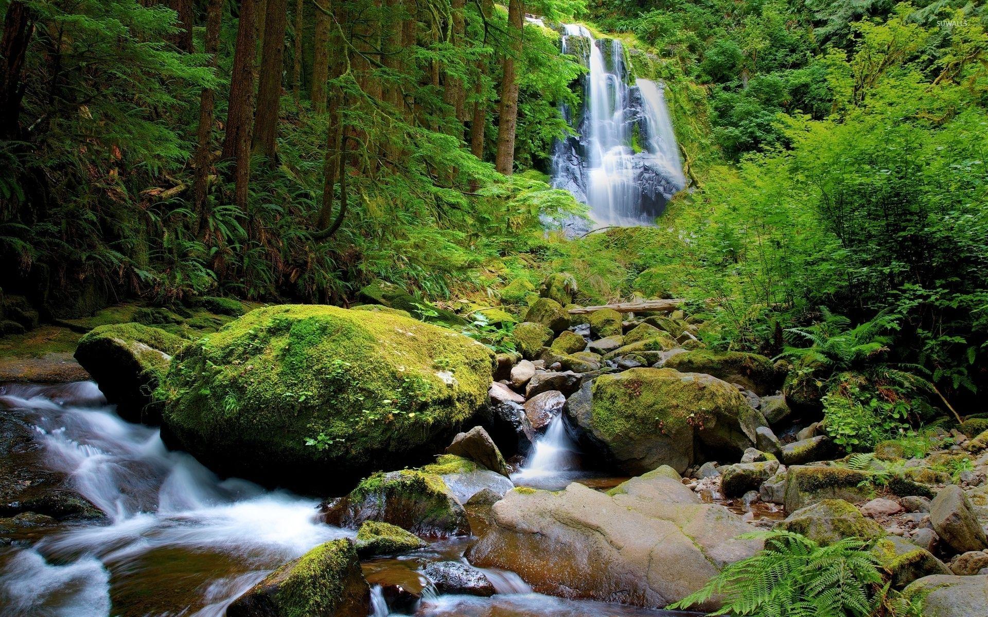 1920x1200 Mossy rocks in the mountain river wallpaper
