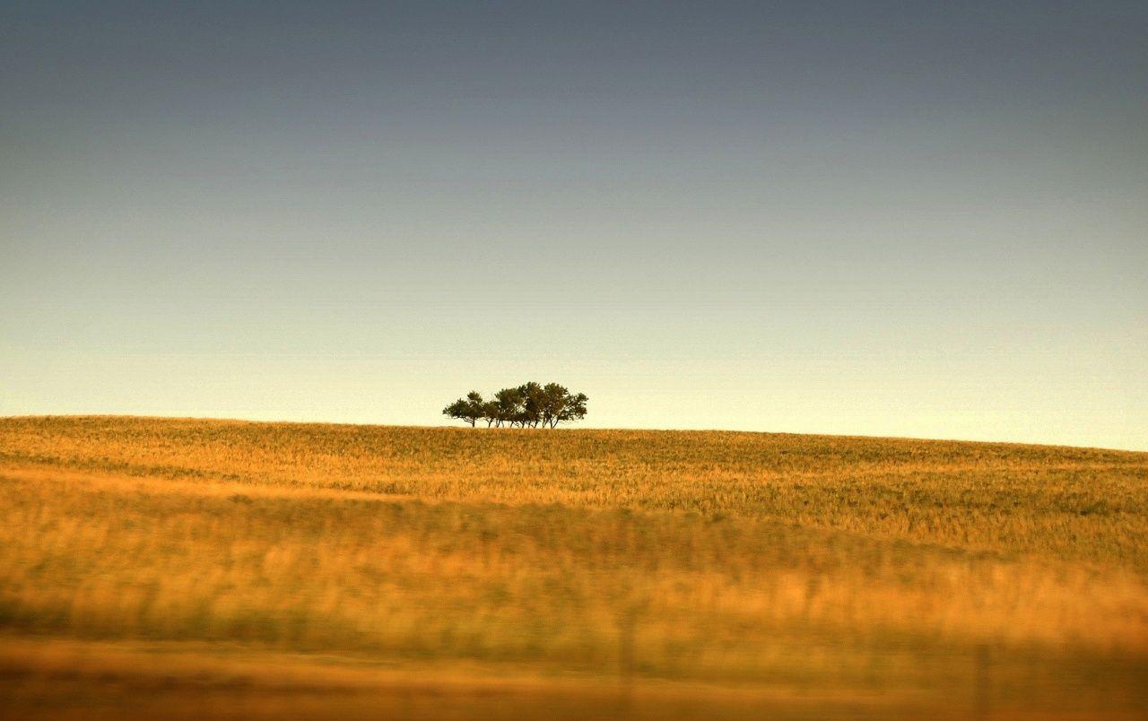 1280x804 Late Summer Landscape wallpaper. Late Summer Landscape