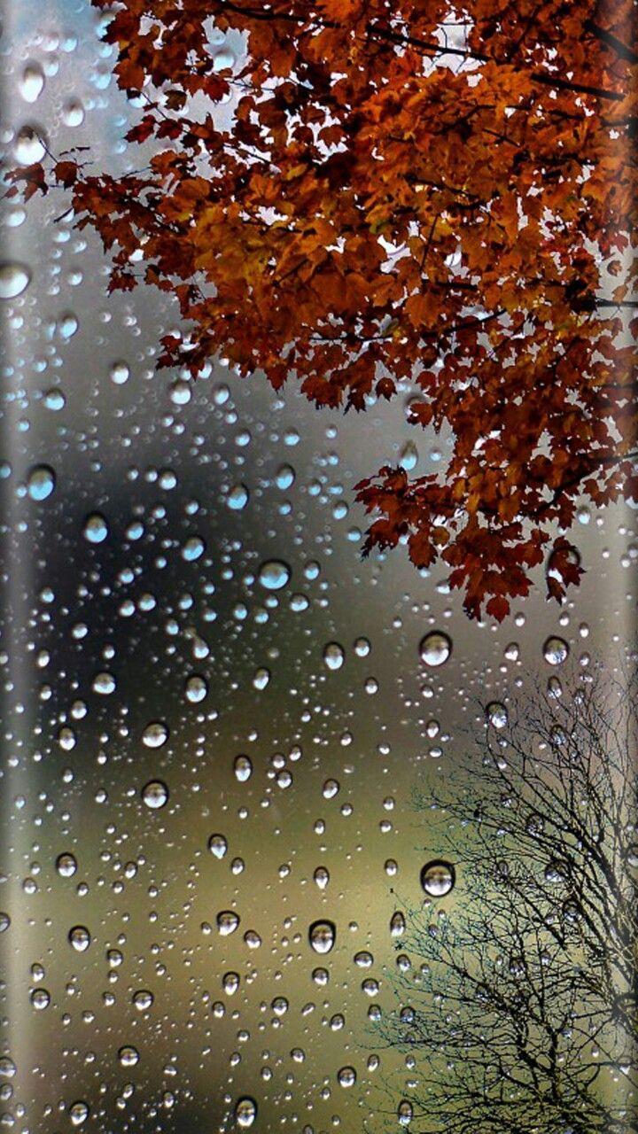Autumn Rain Phone Wallpapers - Top Free Autumn Rain Phone Backgrounds -  WallpaperAccess