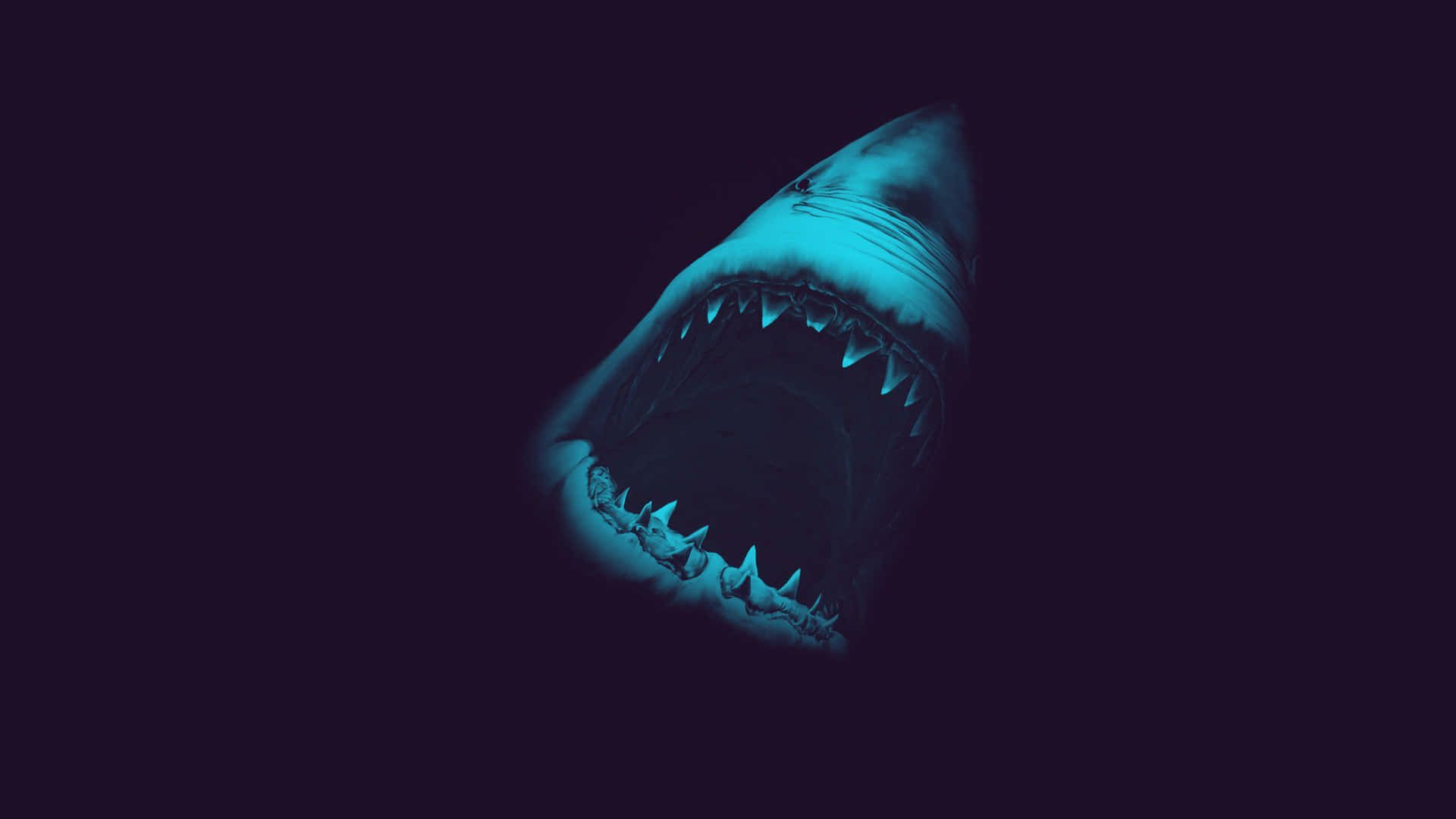 1920x1080 Scary Shark Open Mouth Wallpaper
