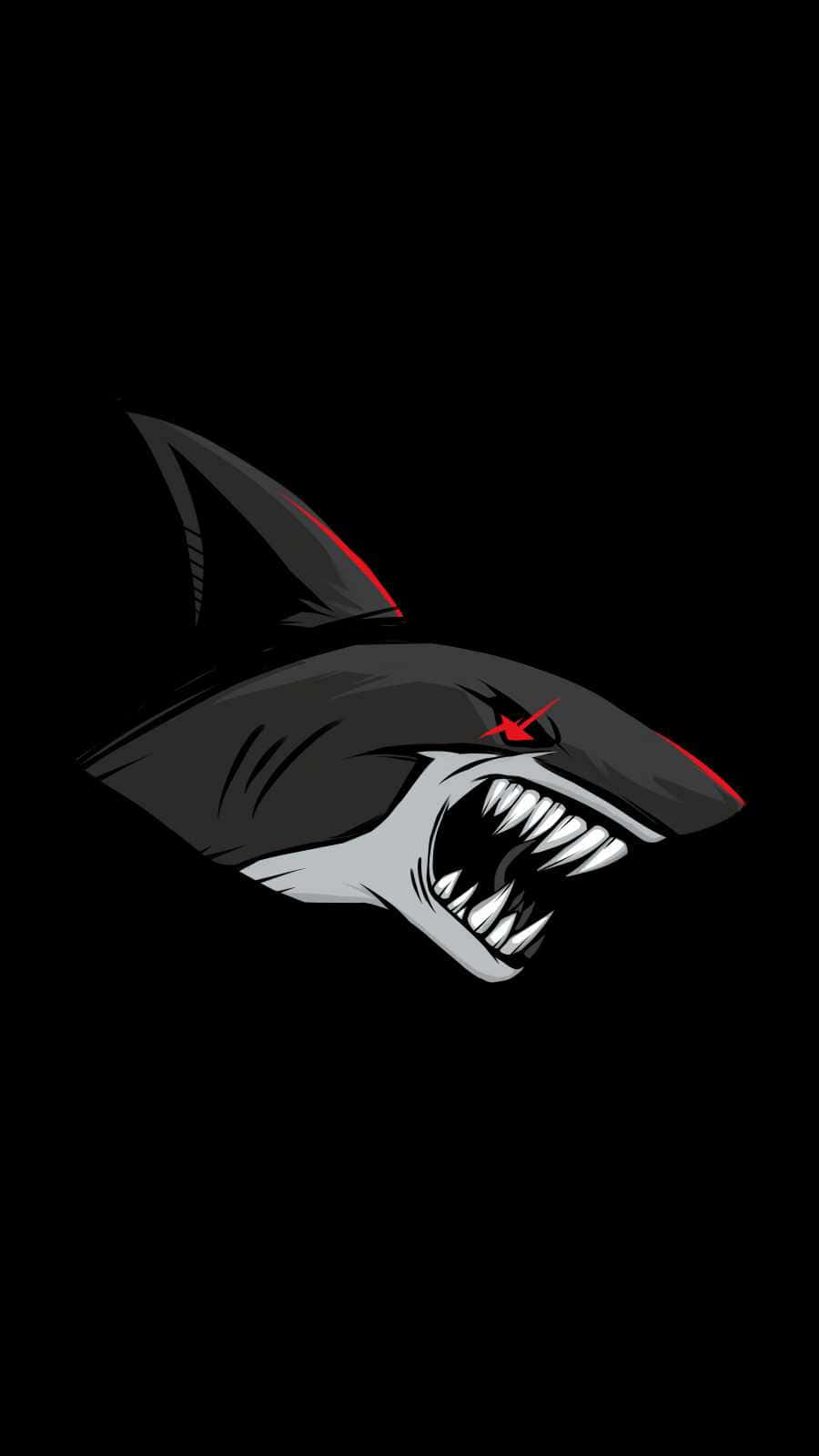900x1600 Free Cool Shark HD Wallpaper