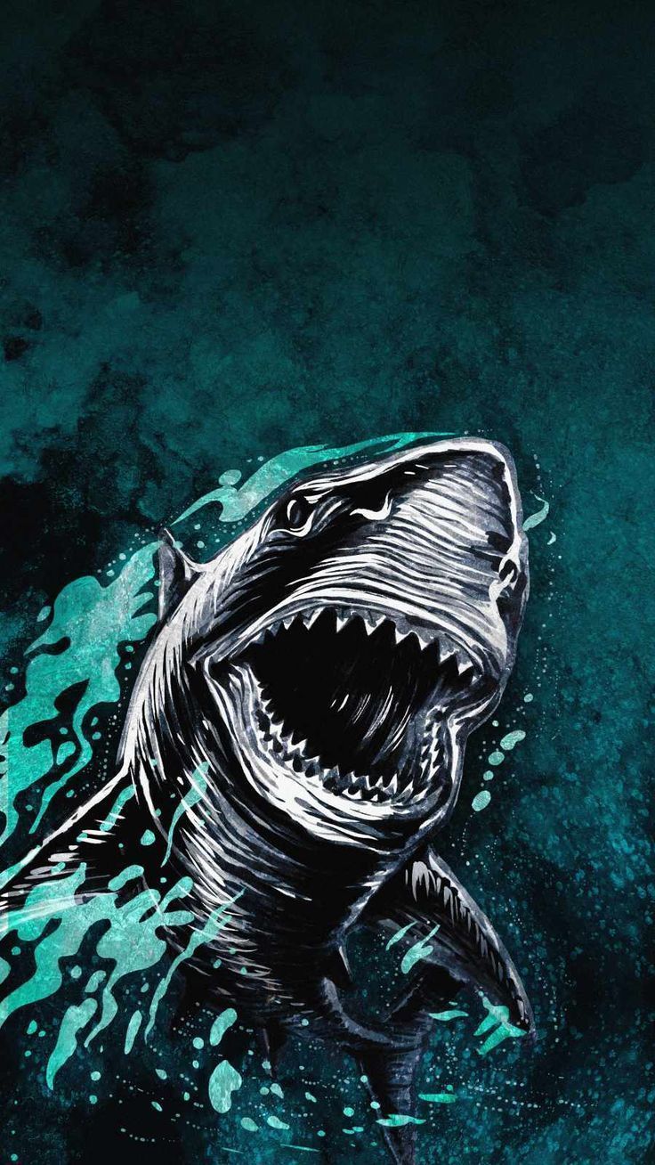 736x1308 Great White Shark iPhone Wallpaper