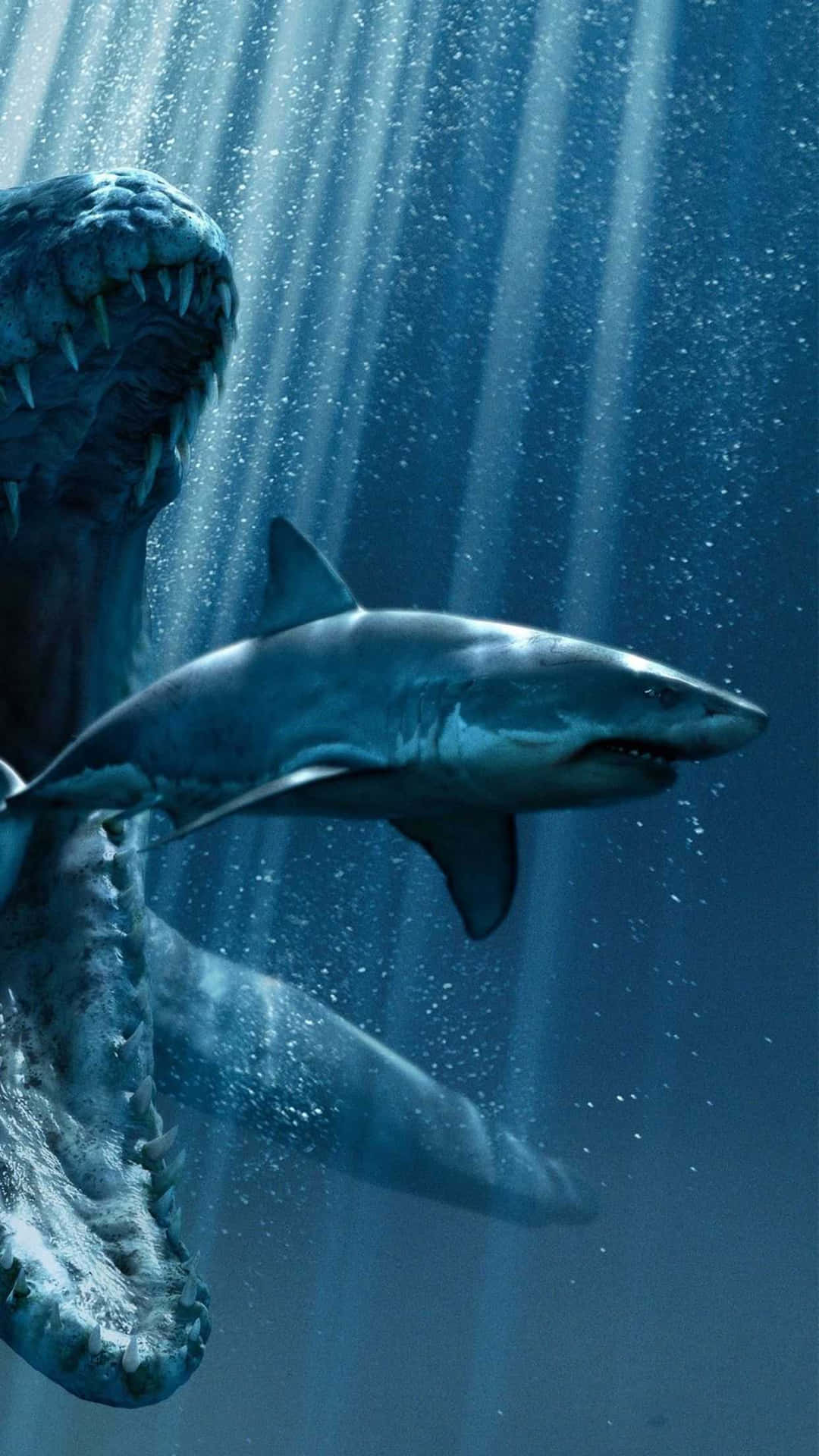 1080x1920 Shark iPhone Wallpaper