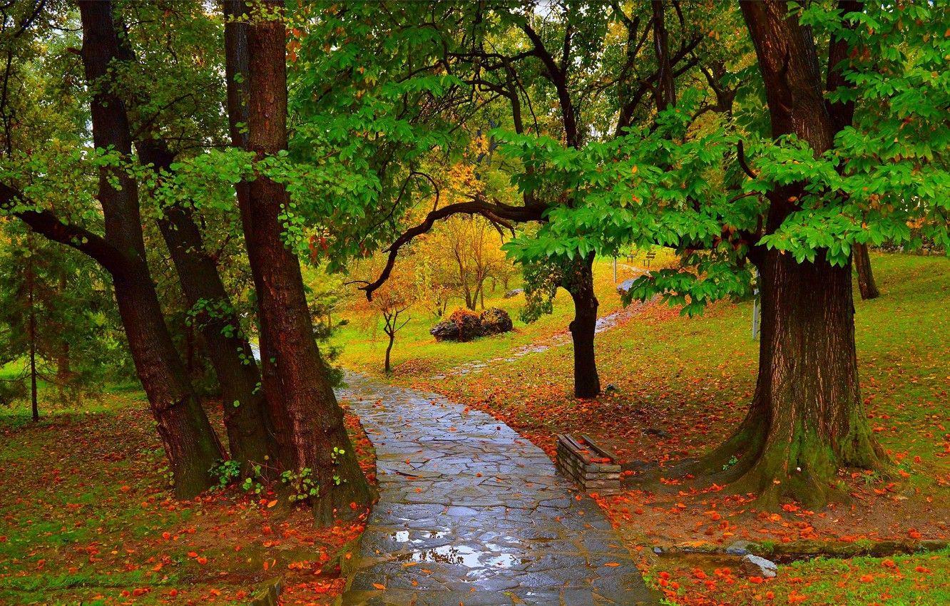 Autumn Rain Wallpapers - Top Free Autumn Rain Backgrounds - WallpaperAccess