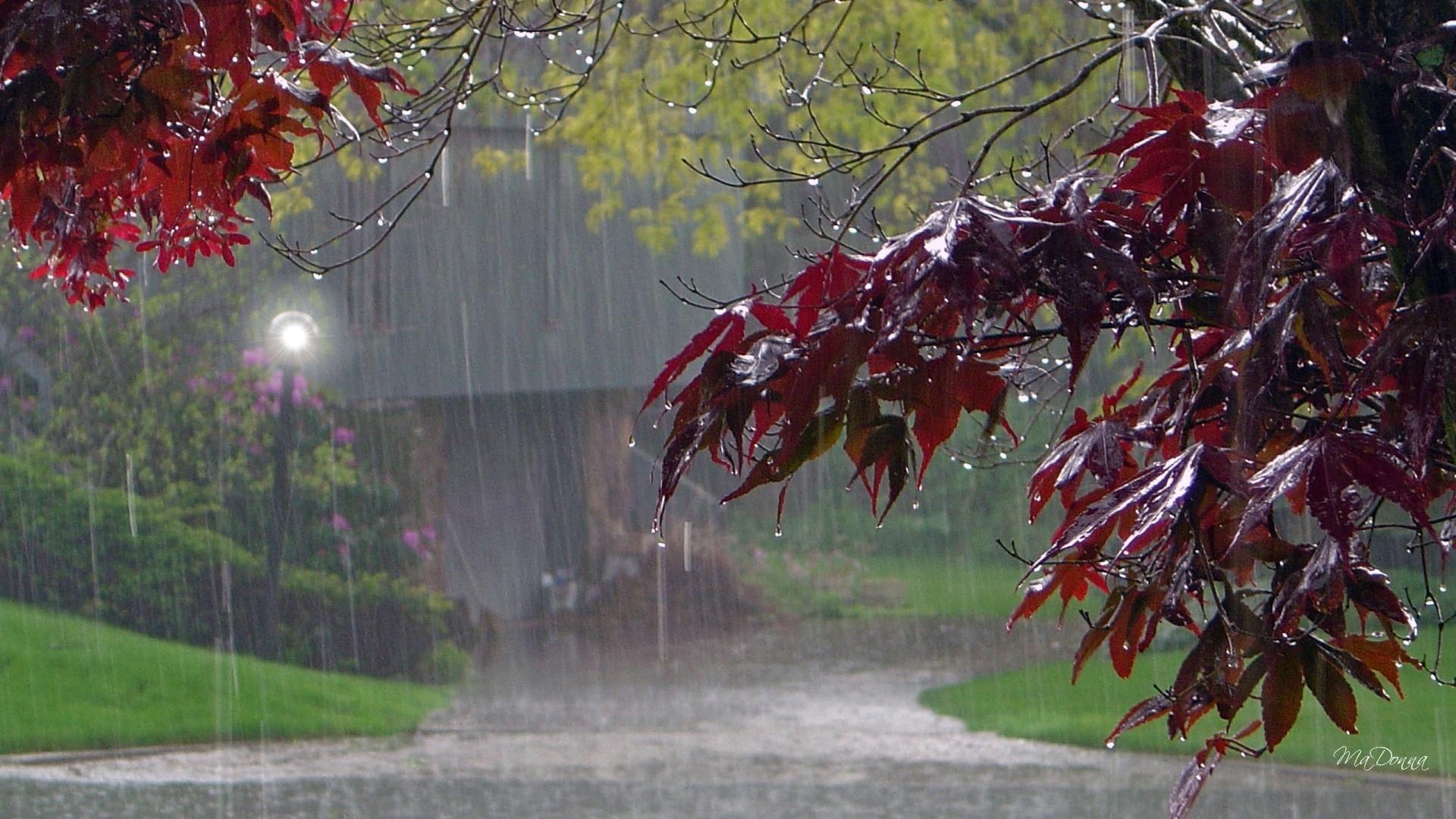 Autumn Rain Wallpapers - Top Free Autumn Rain Backgrounds - WallpaperAccess