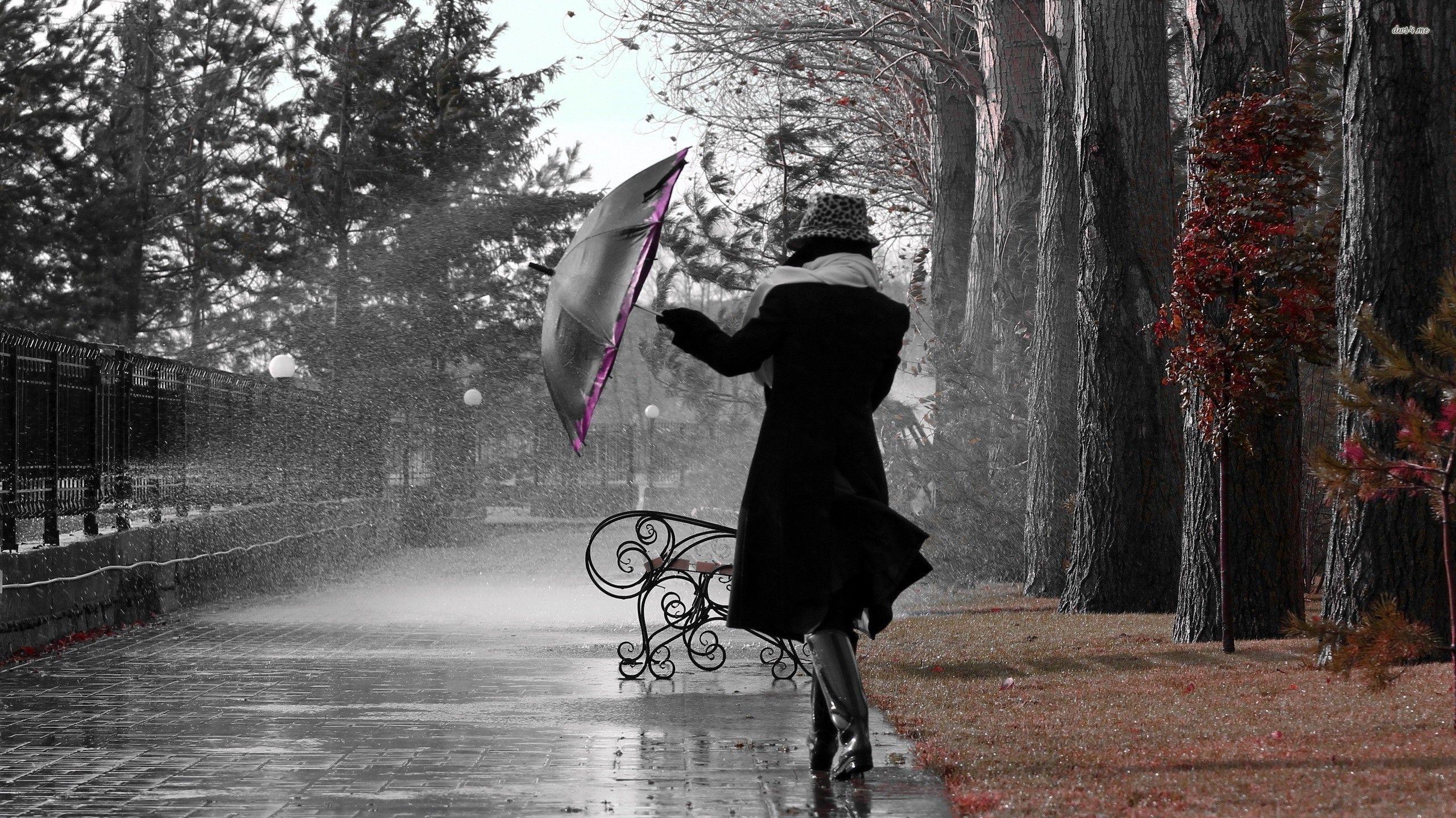 2560x1440 Girl in the autumn rain wallpaper wallpaper