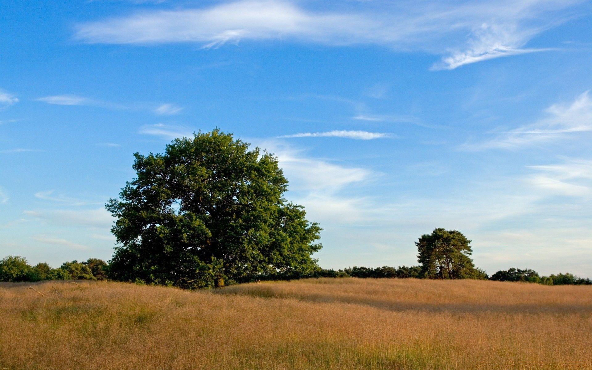 1920x1200 Late Summer