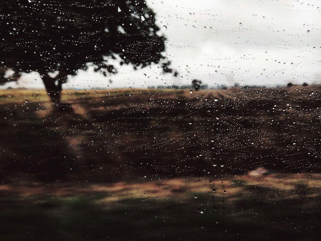 1080x810 Autumn Rain Picture. Download Free Image