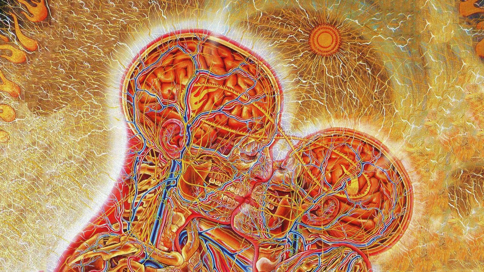 1600x900 artwork alex grey kissing brains surreal wallpaper