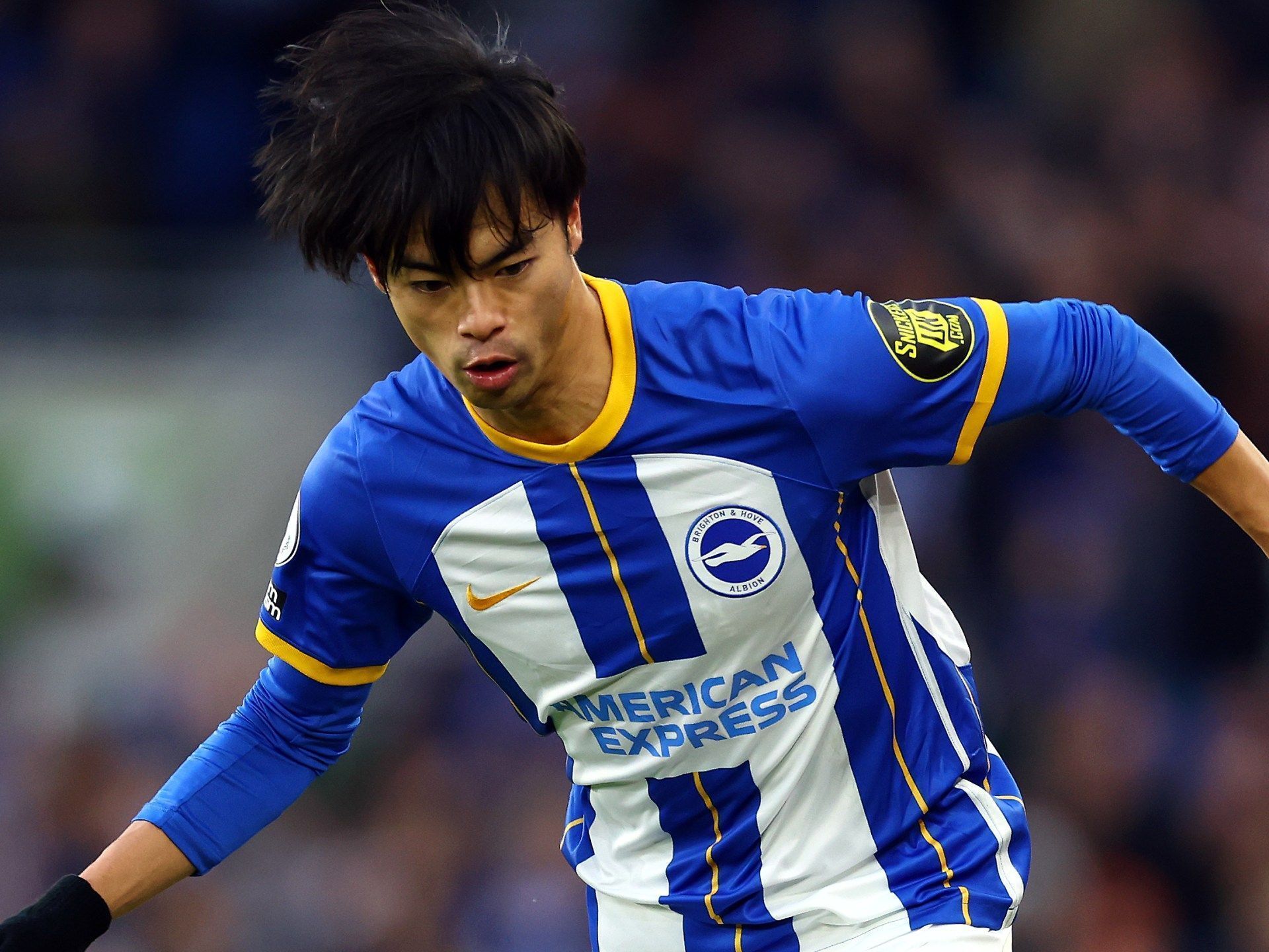 1920x1440 Brighton star Kaoru Mitoma is a