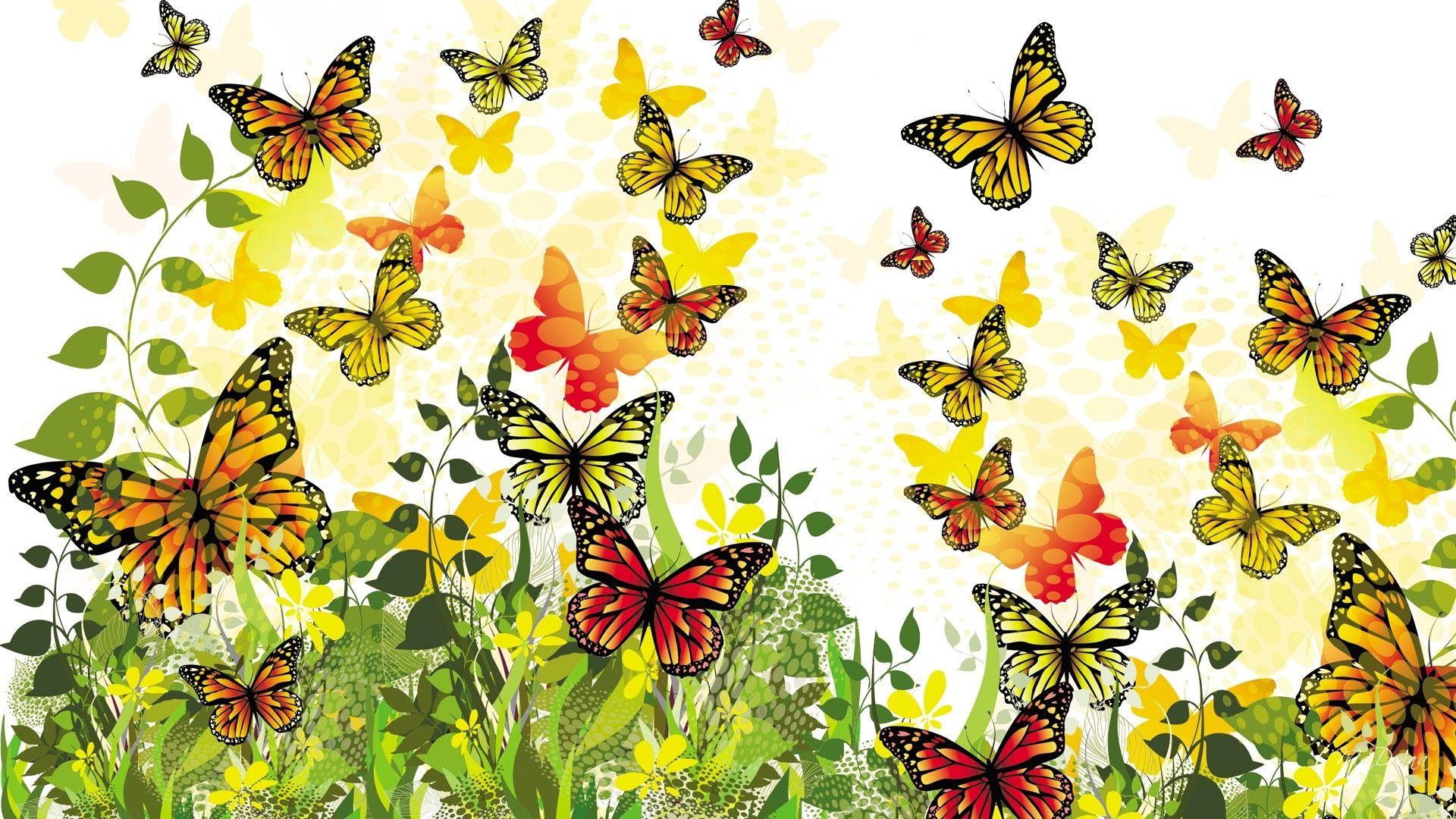 1920x1080 Colorful Butterflies HD Wallpaper. Background Image