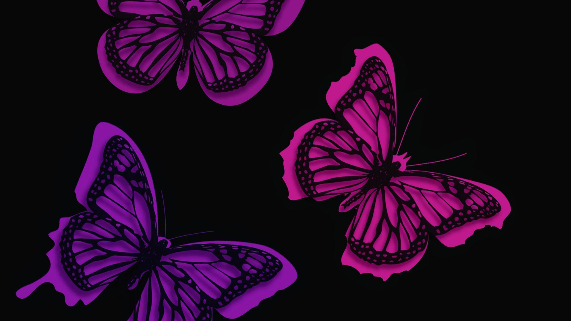 Butterflies Laptop Wallpapers Top Free Butterflies Laptop Backgrounds