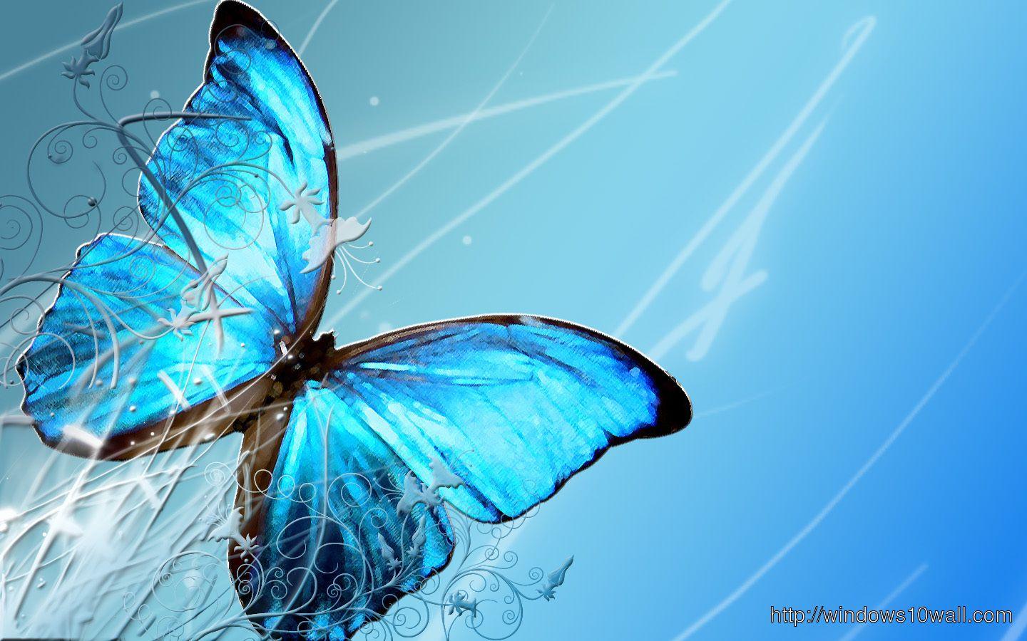 1440x900 Blue Butterfly Wallpaper