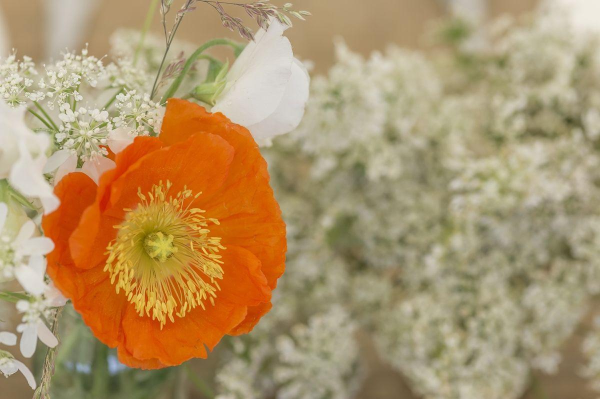 1200x798 70s Wedding Style