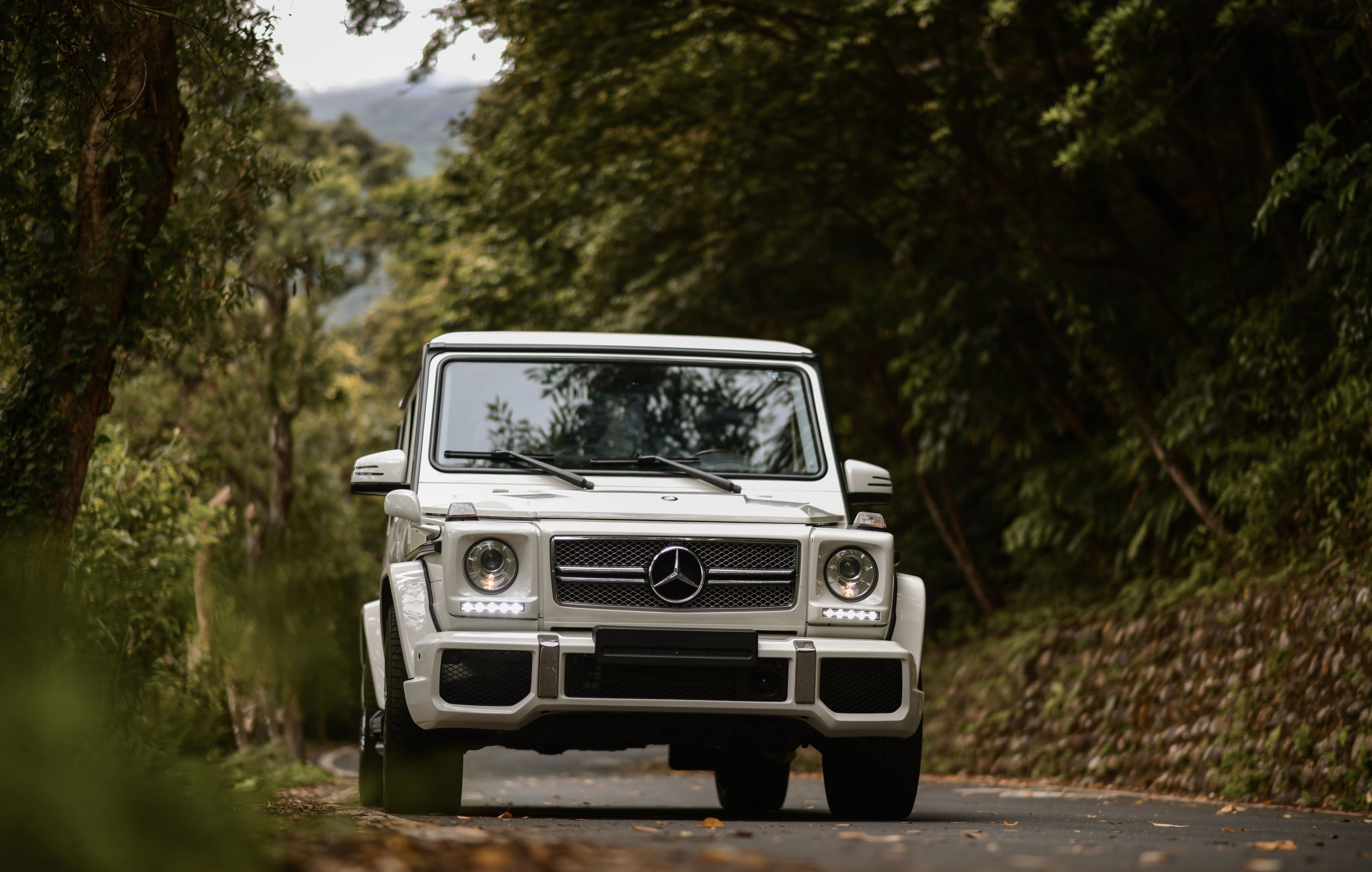 8256x5249 Desktop wallpaper: Cars, Mercedes Gelandewagen, Mercedes Benz G Class, Front View, Suv, Grey, Mercedes 4K free download for PC. 94044