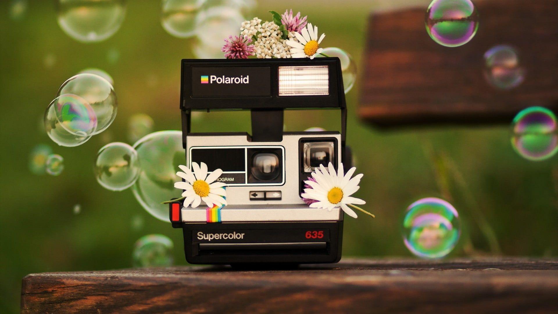 1920x1080 Black Polaroid land camera, camera, bubbles, flowers HD