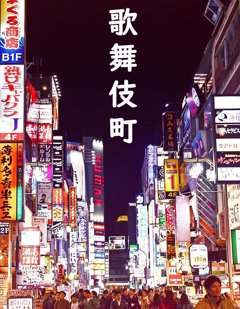800x1029 Japan Kamurocho iPhone Wallpaper