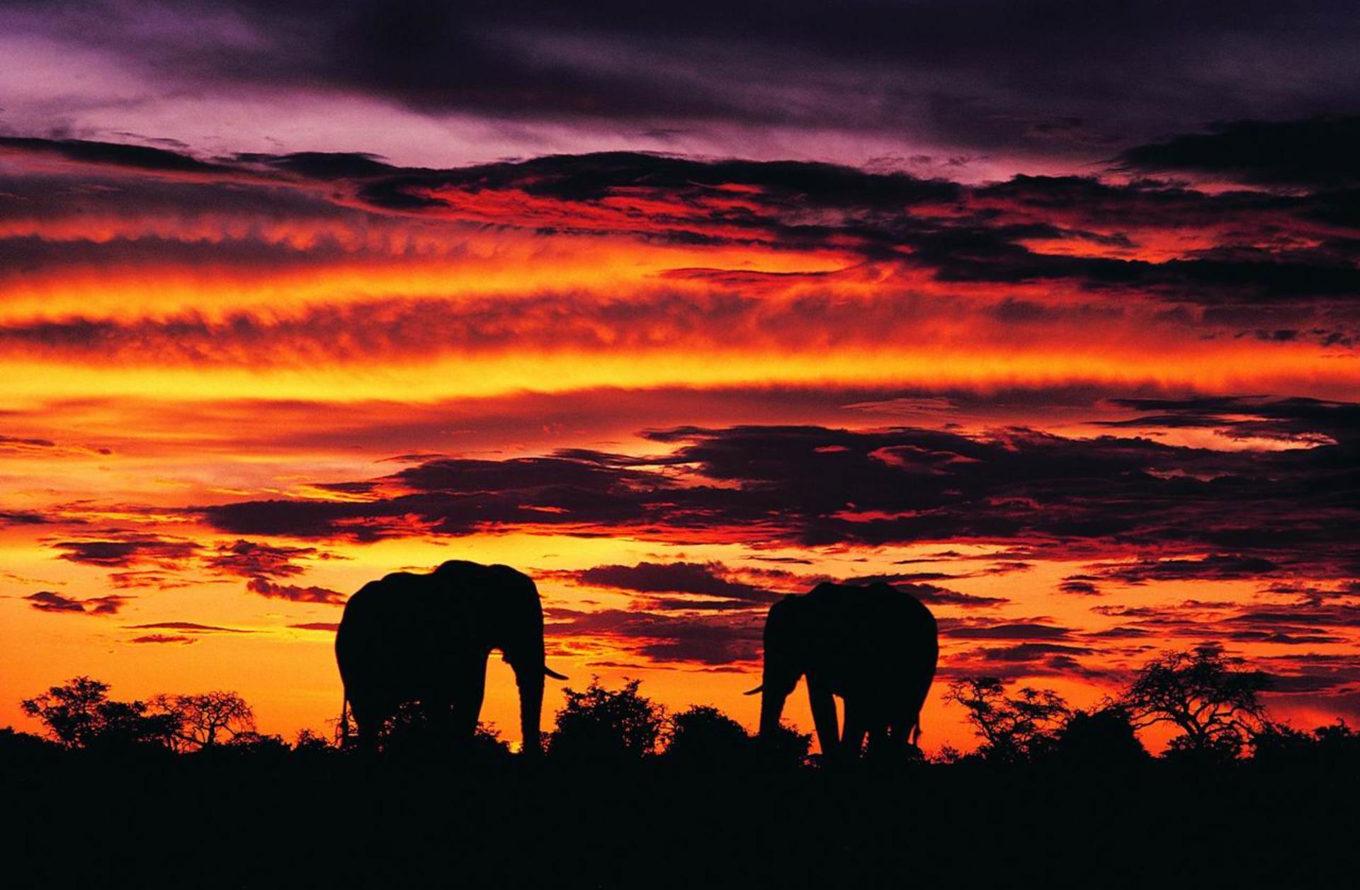 1920x1257 HD Africa Wallpaper For Desktop And Mobile