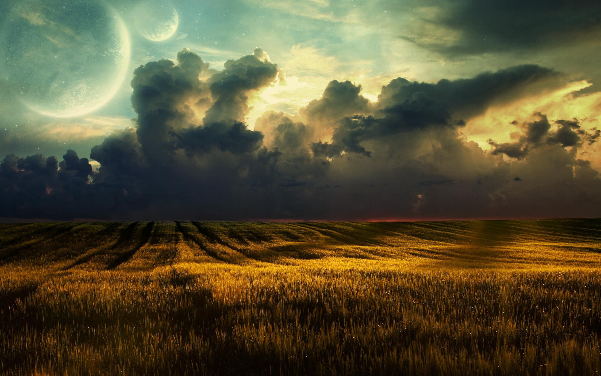 2560x1600 African Landscape Wallpaper