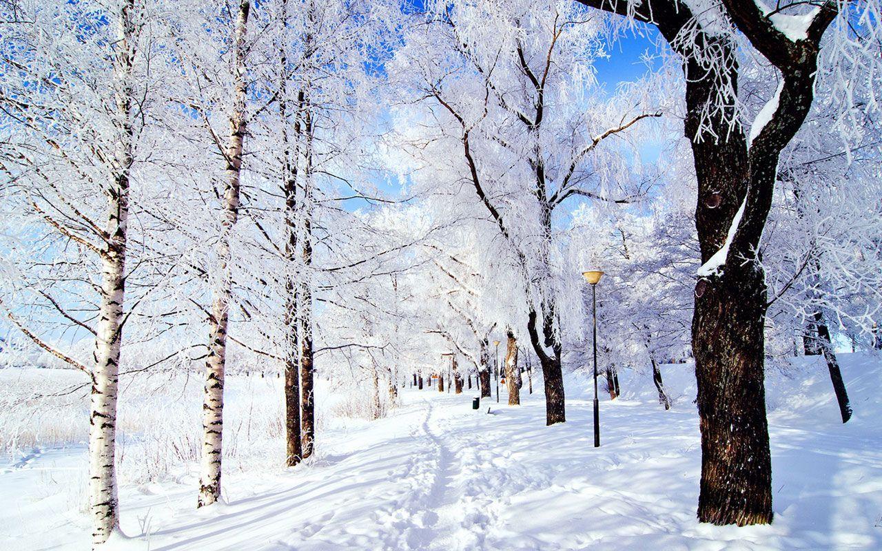 Aesthetic Snow Wallpapers - Top Free Aesthetic Snow Backgrounds -  WallpaperAccess