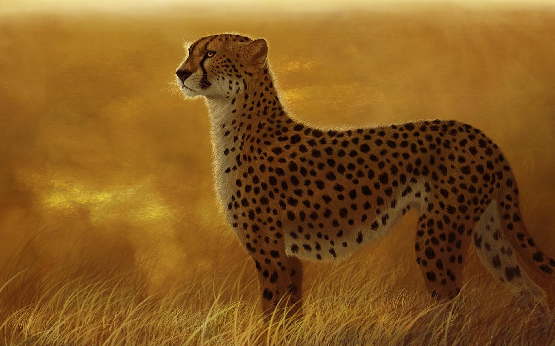 1920x1200 Cheetah animals cats art artistic paintings africa landscapes nature