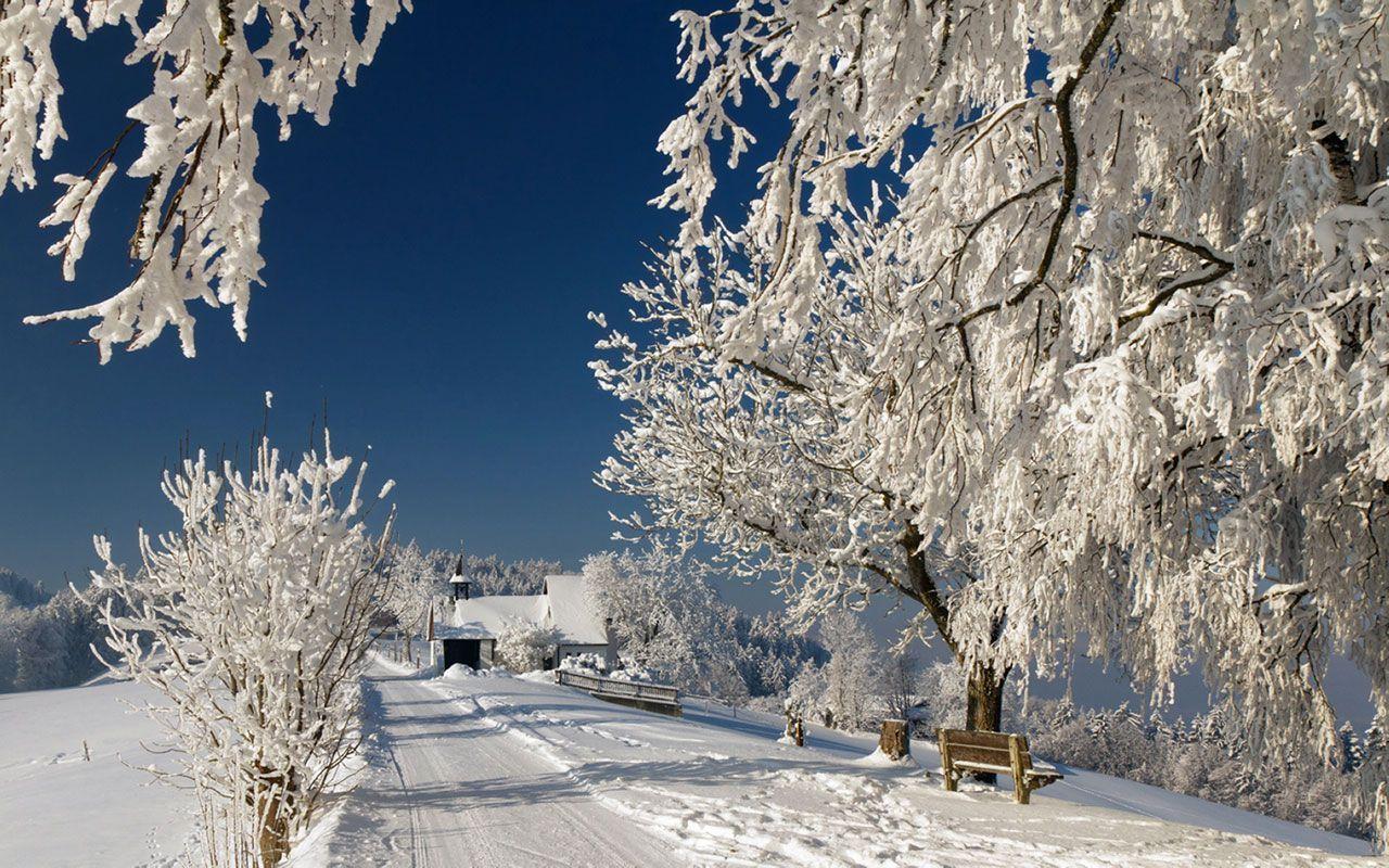 1280x800 Snowy Nature Wallpaper