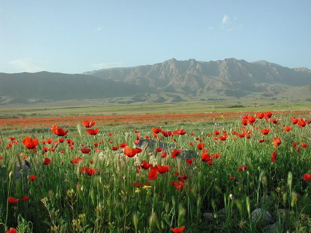 1024x768 Armenia Wallpaper for Android