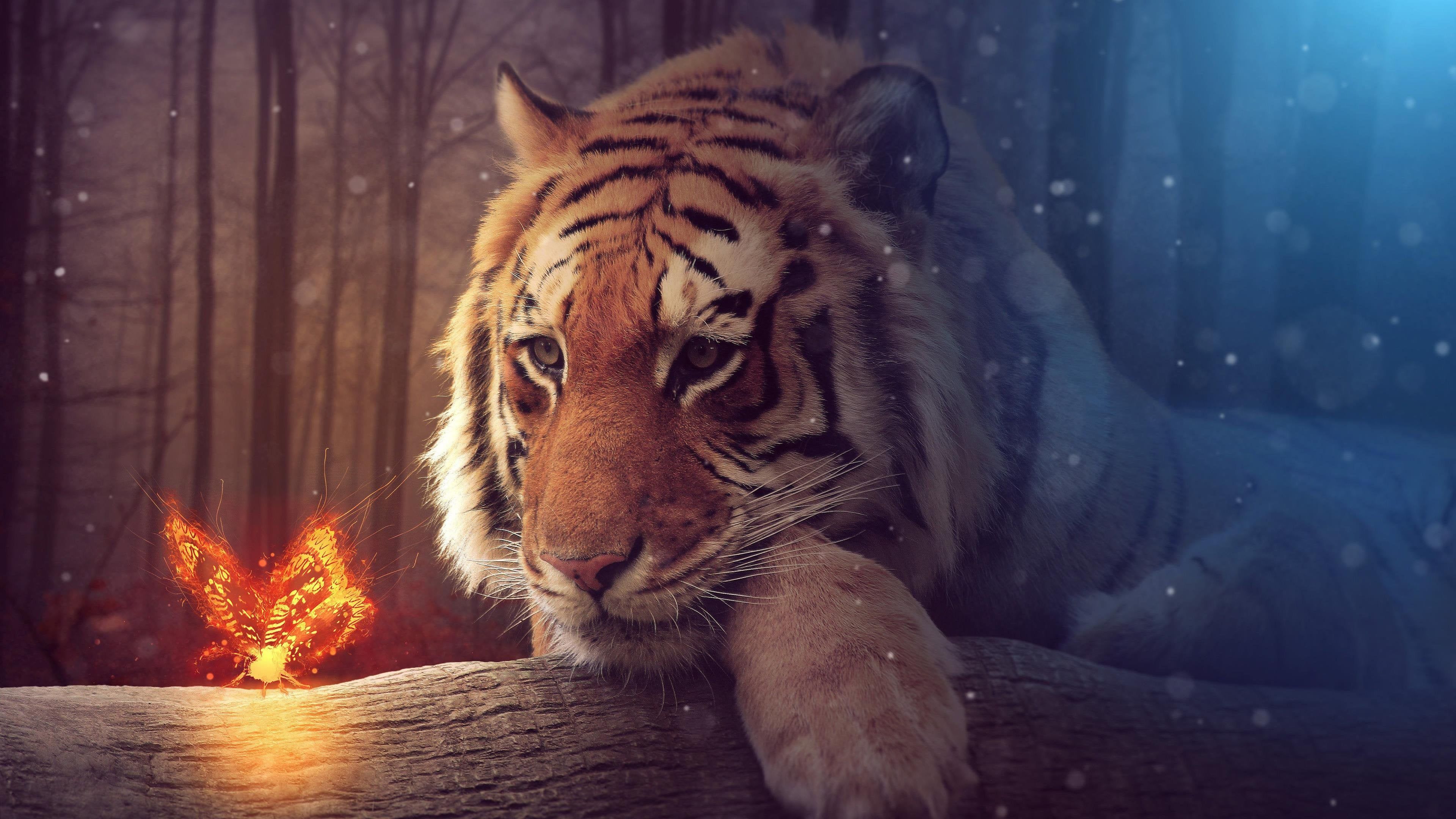 3840x2160 HD Tiger 4K Fantasy Wallpaper