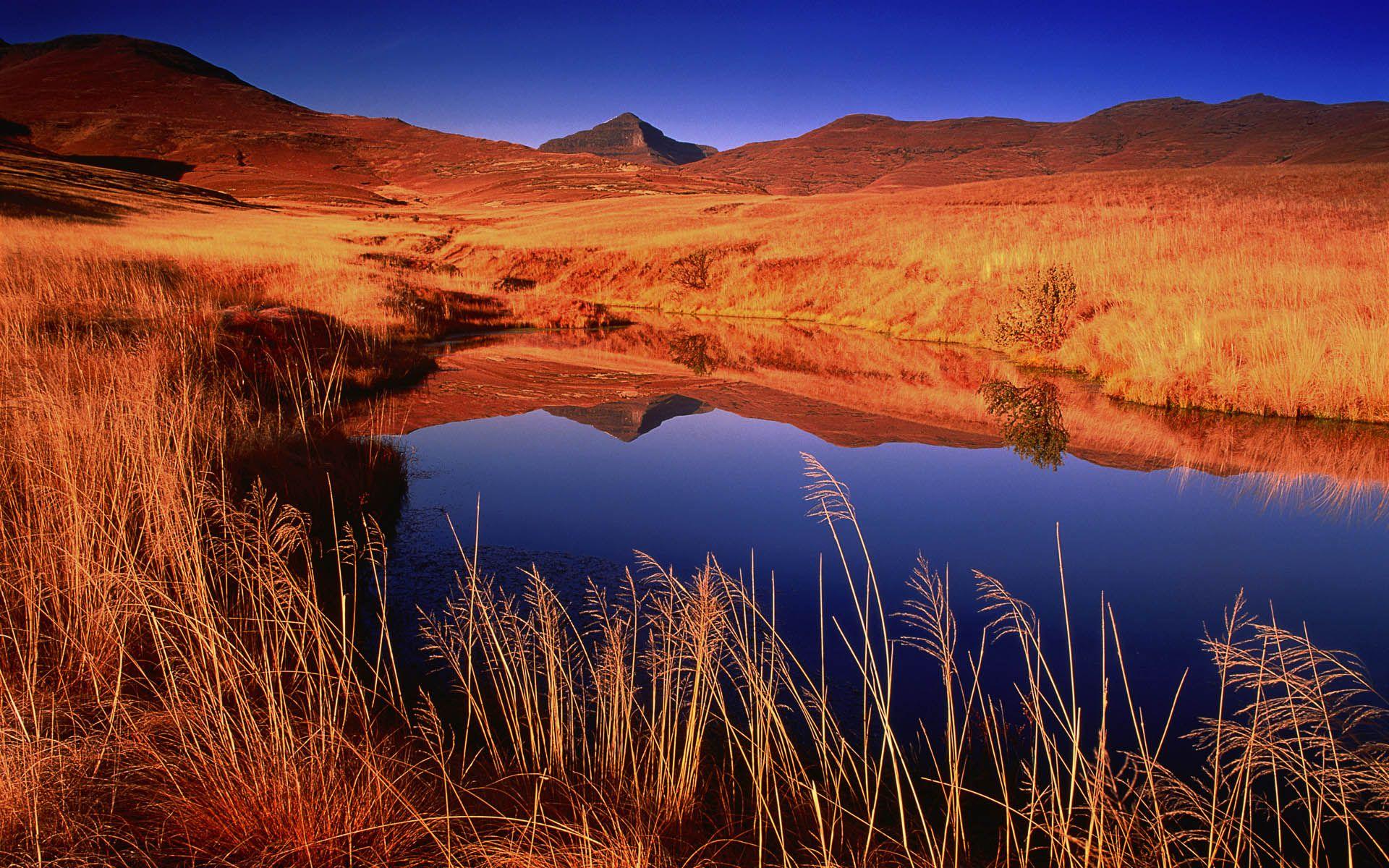 1920x1200 HD Africa Wallpaper For Desktop And Mobile