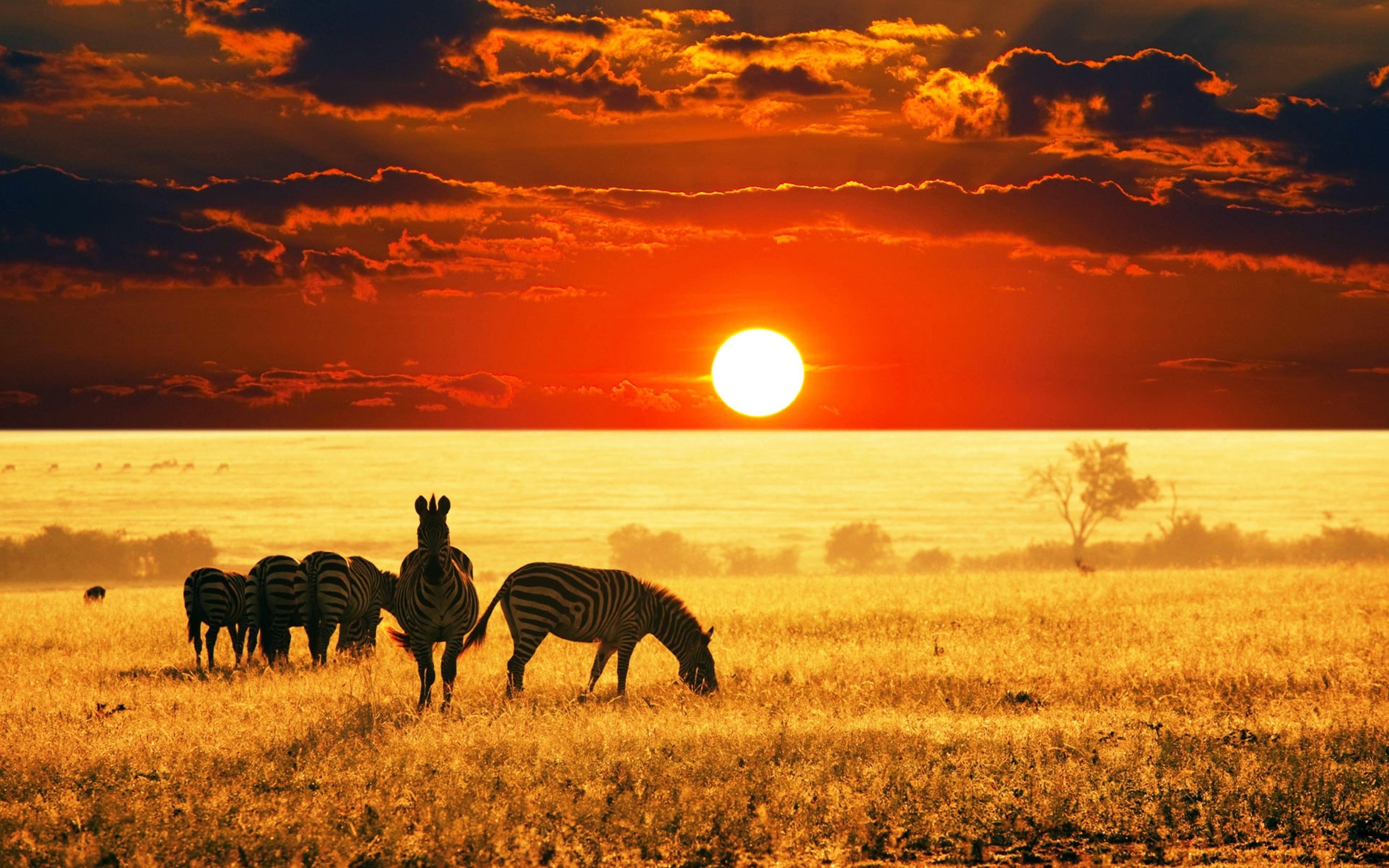 3840x2400 Sunrise Sunset: Clouds Landscapes Reserves Sunrise Summer Sunset