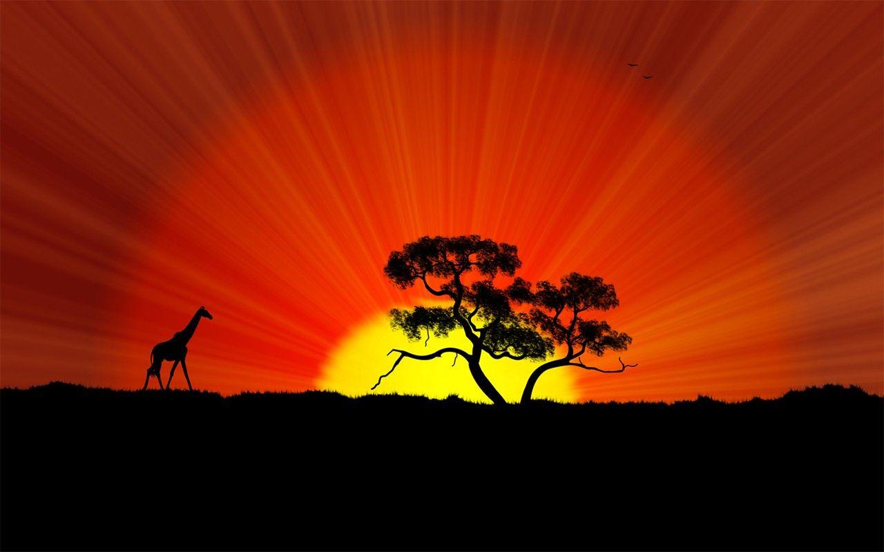 1280x800 Sunsets: Africa Nature Giraffe Landscapes Sunsets Desktop Sunset