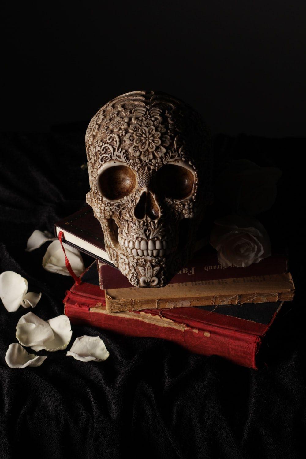 1000x1500 Skull Picture. Download Free Image