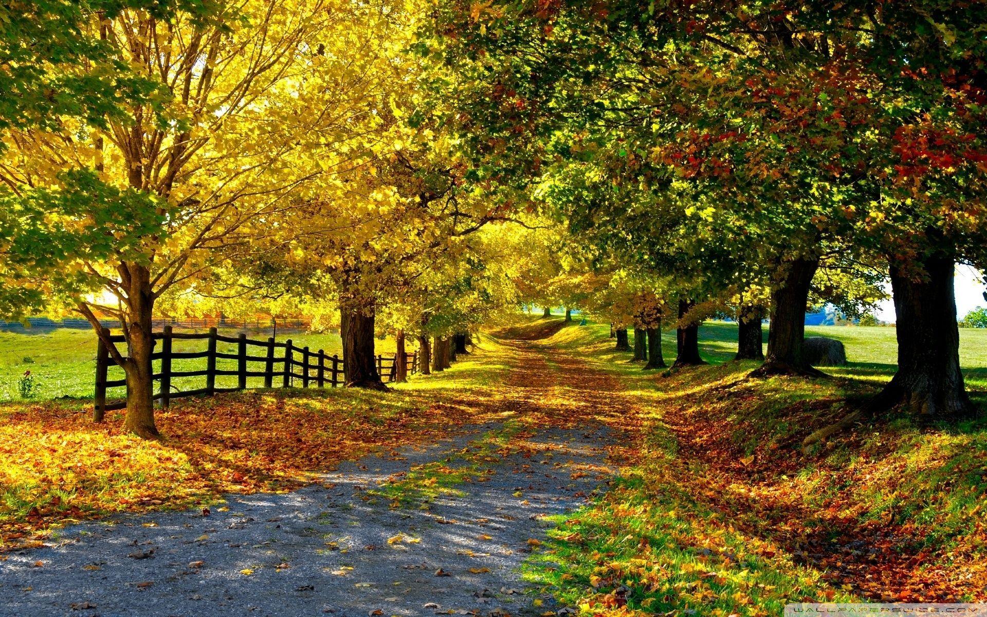 Beautiful Fall Desktop Wallpapers - Top Free Beautiful ...