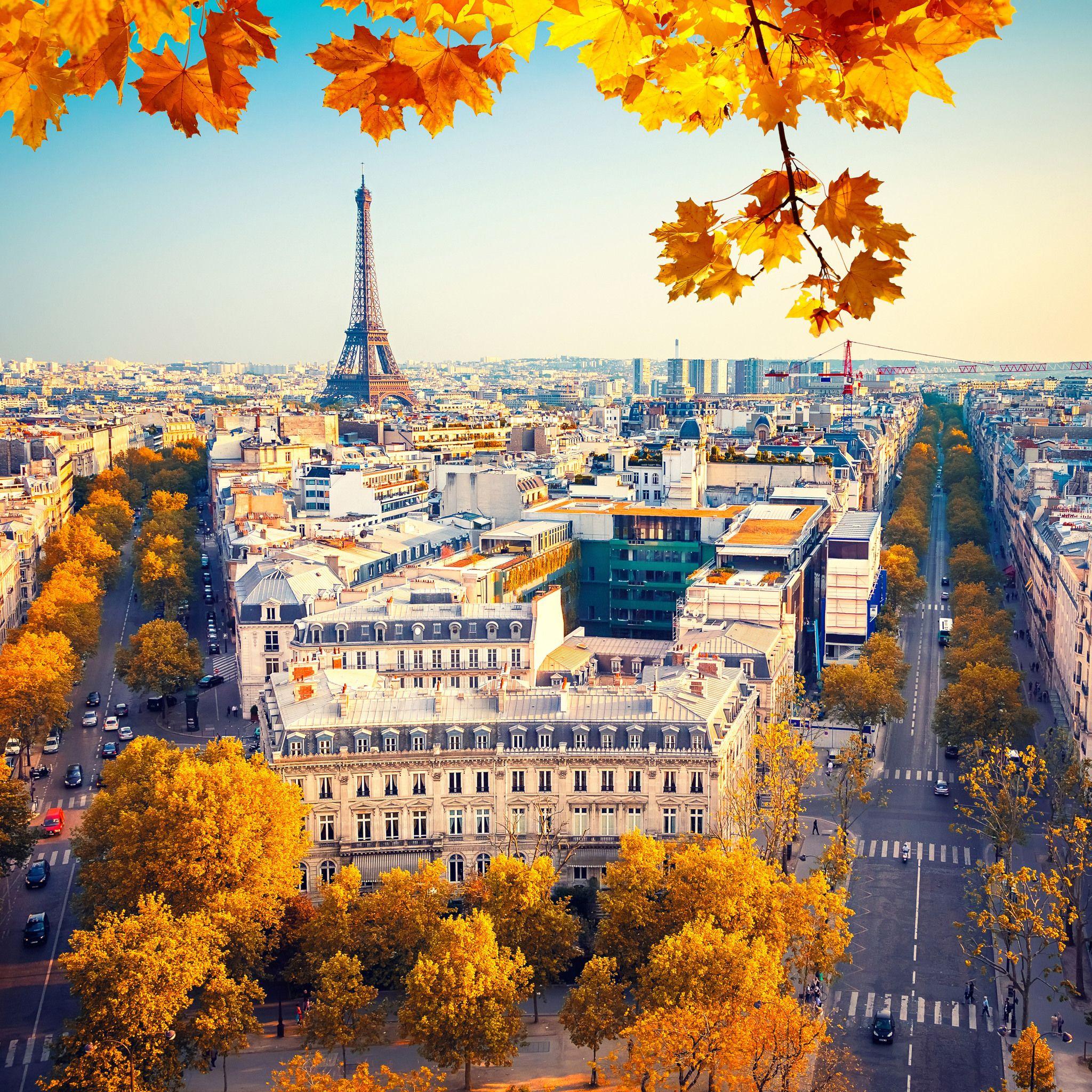 2048x2048 Eiffel Tower Paris City Autumn 4k 5k iPad Air HD