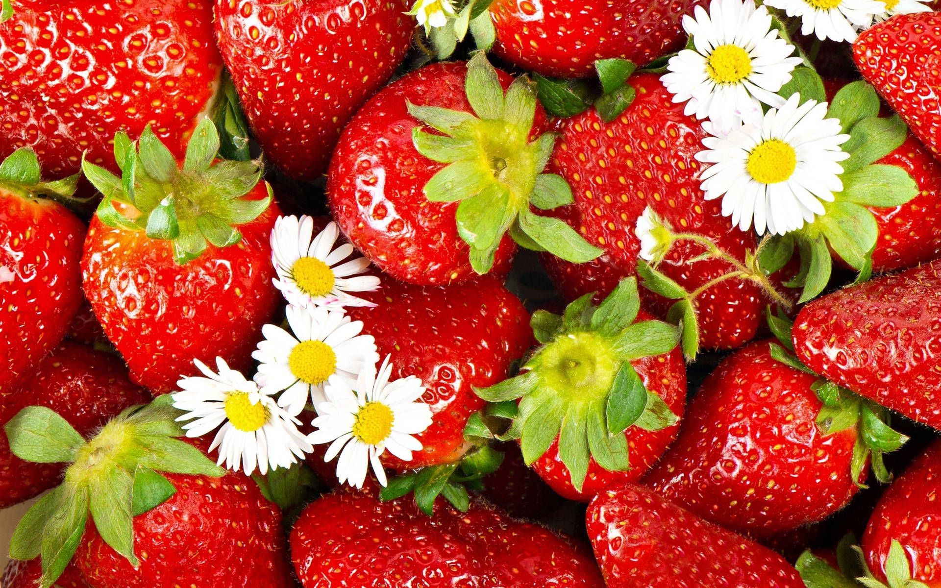 1920x1200 Fruits Strawberry Desktop Wallpaper