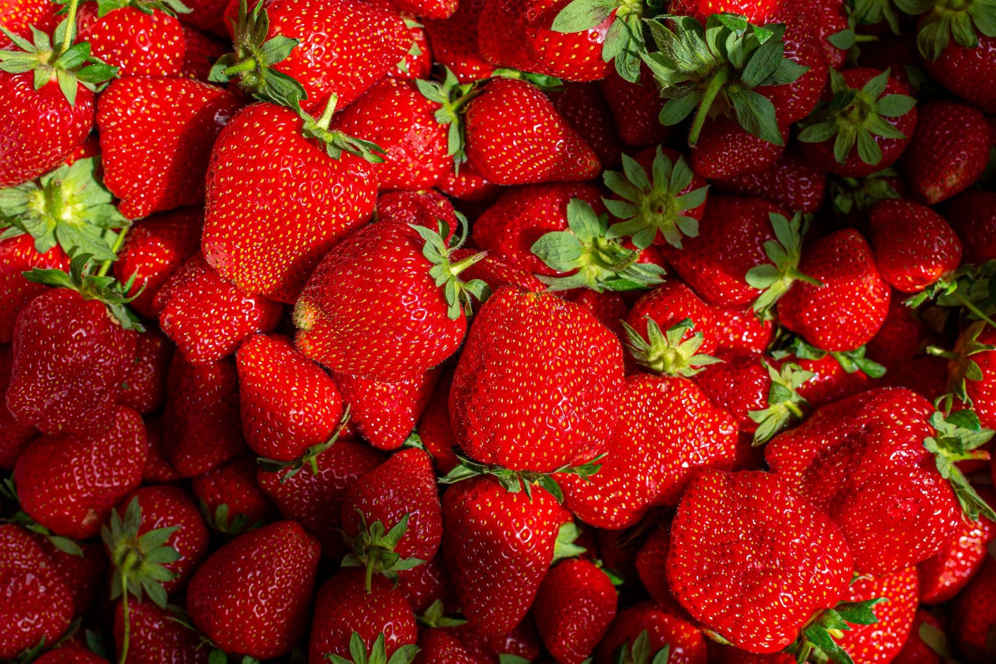 Strawberry PC Wallpapers Top Free Strawberry PC Backgrounds 13847400
